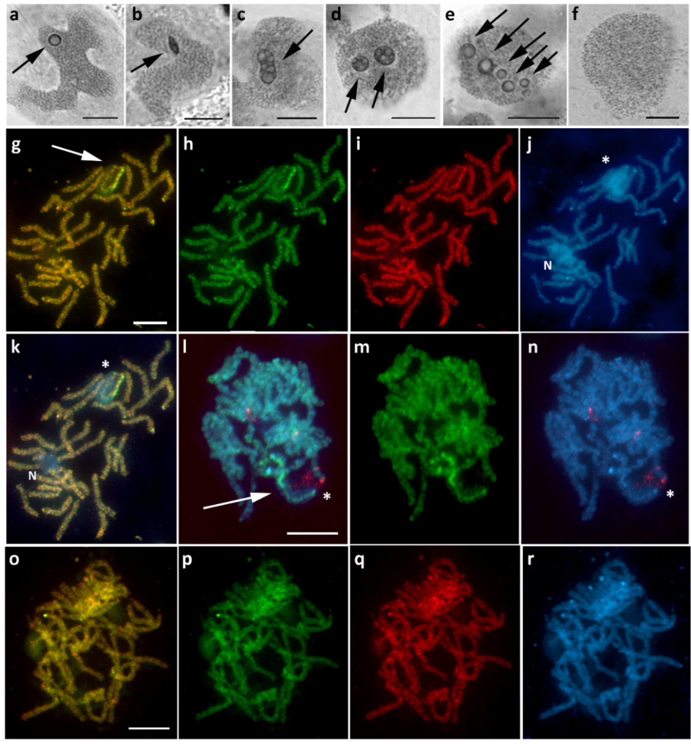Cells 10 02230 g005 Cells 10 02230 g005