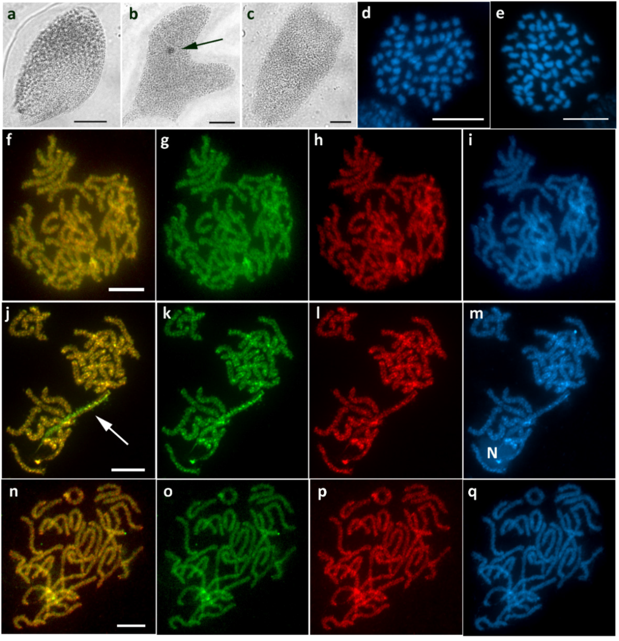Cells 10 02230 g009 Cells 10 02230 g009