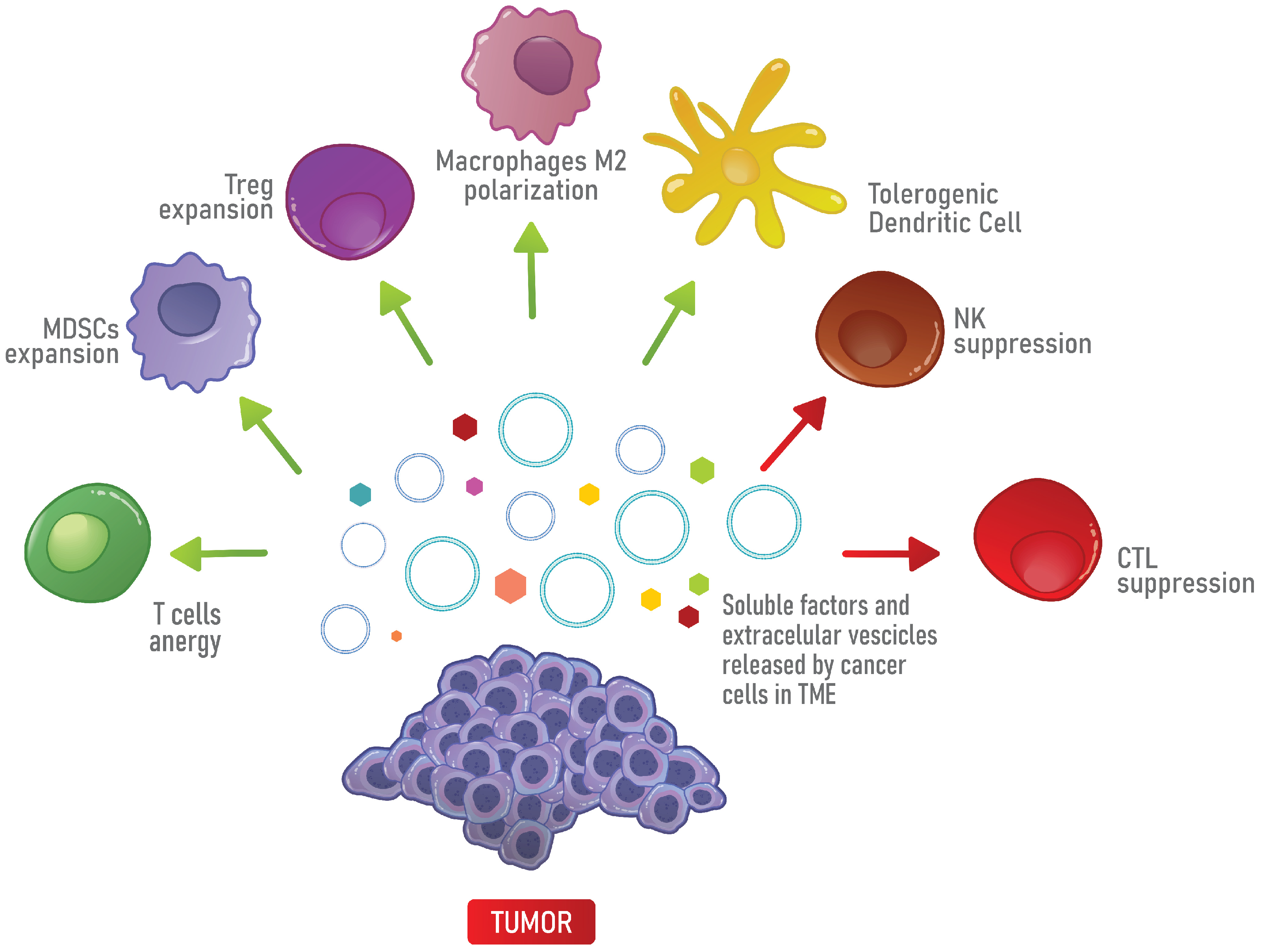 Cells 10 02245 g002 Cells 10 02245 g002
