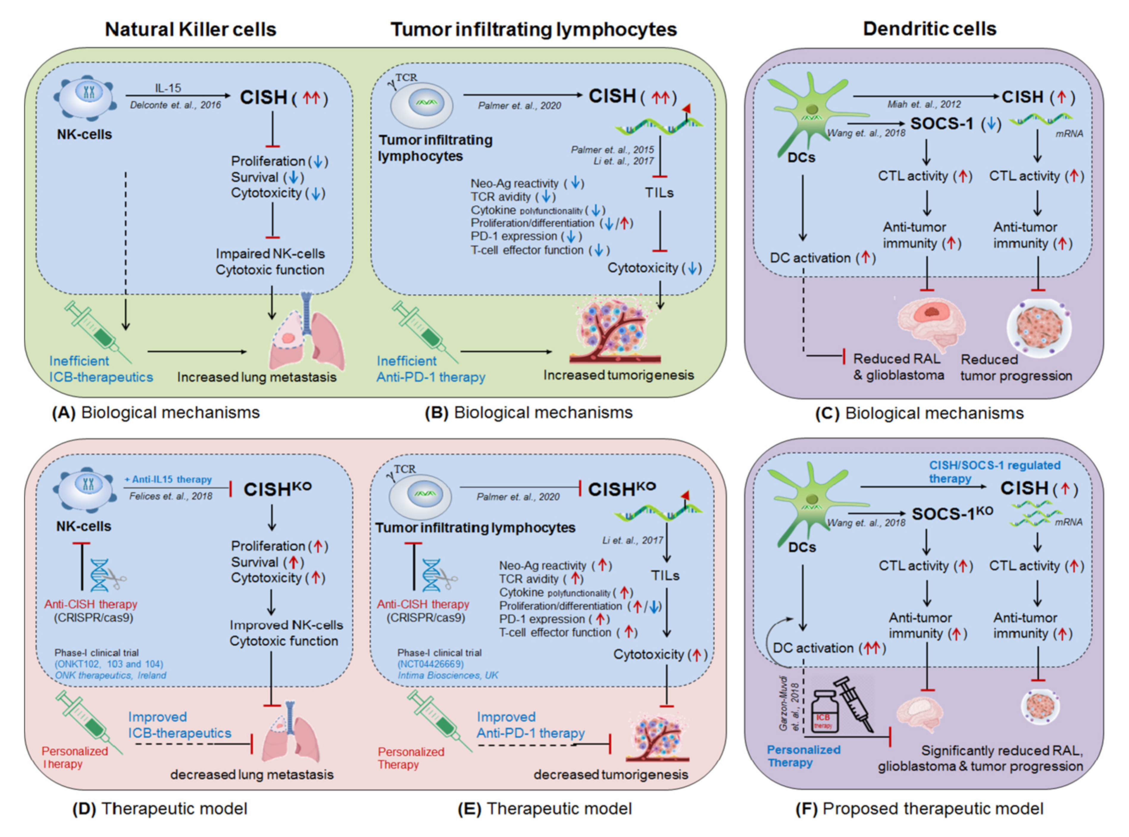 Cells 10 02250 g008 Cells 10 02250 g008