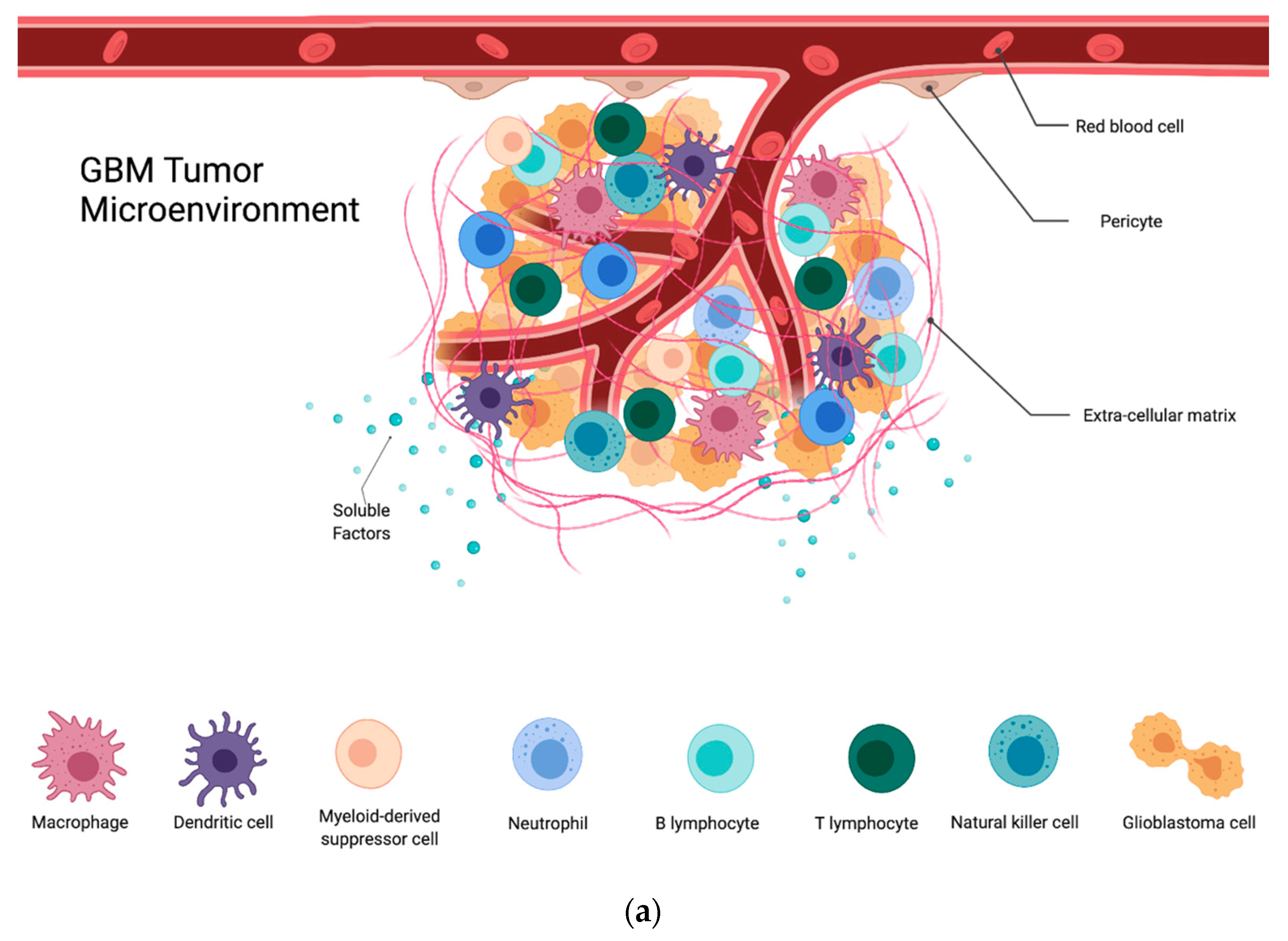 Cells 10 02257 g001a