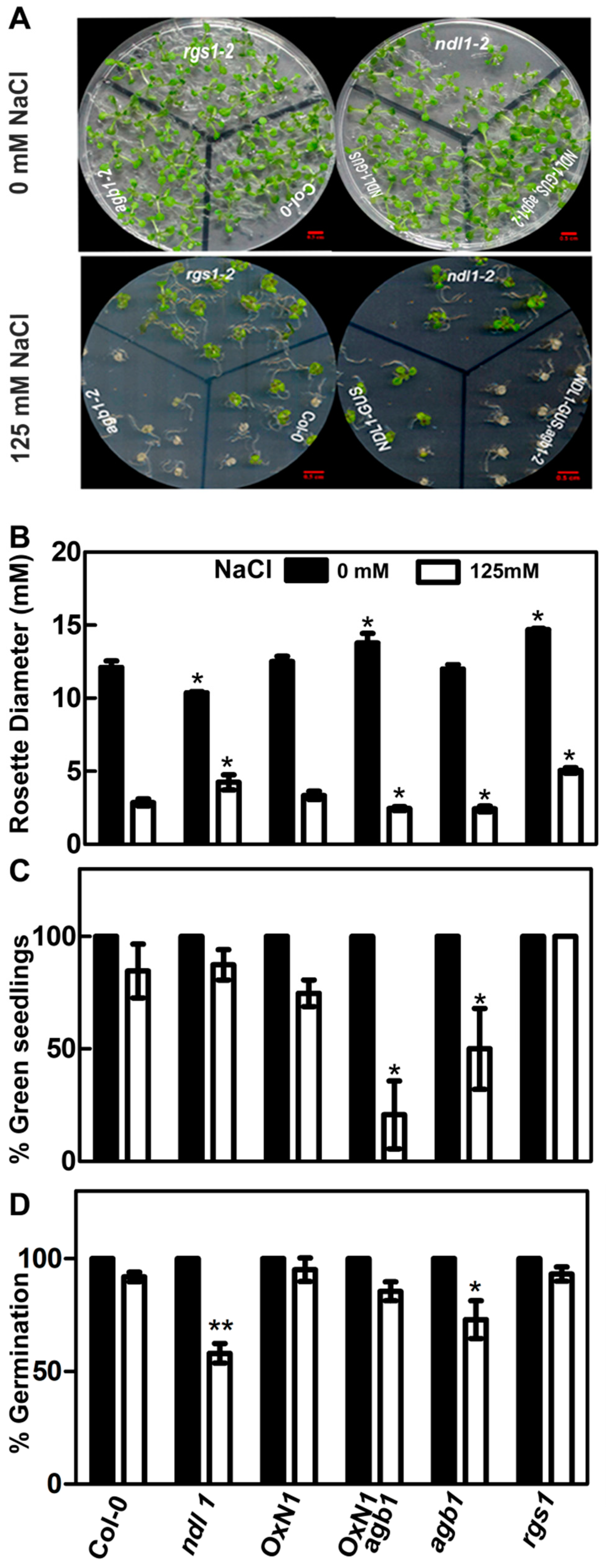 Cells 10 02261 g001 Cells 10 02261 g001