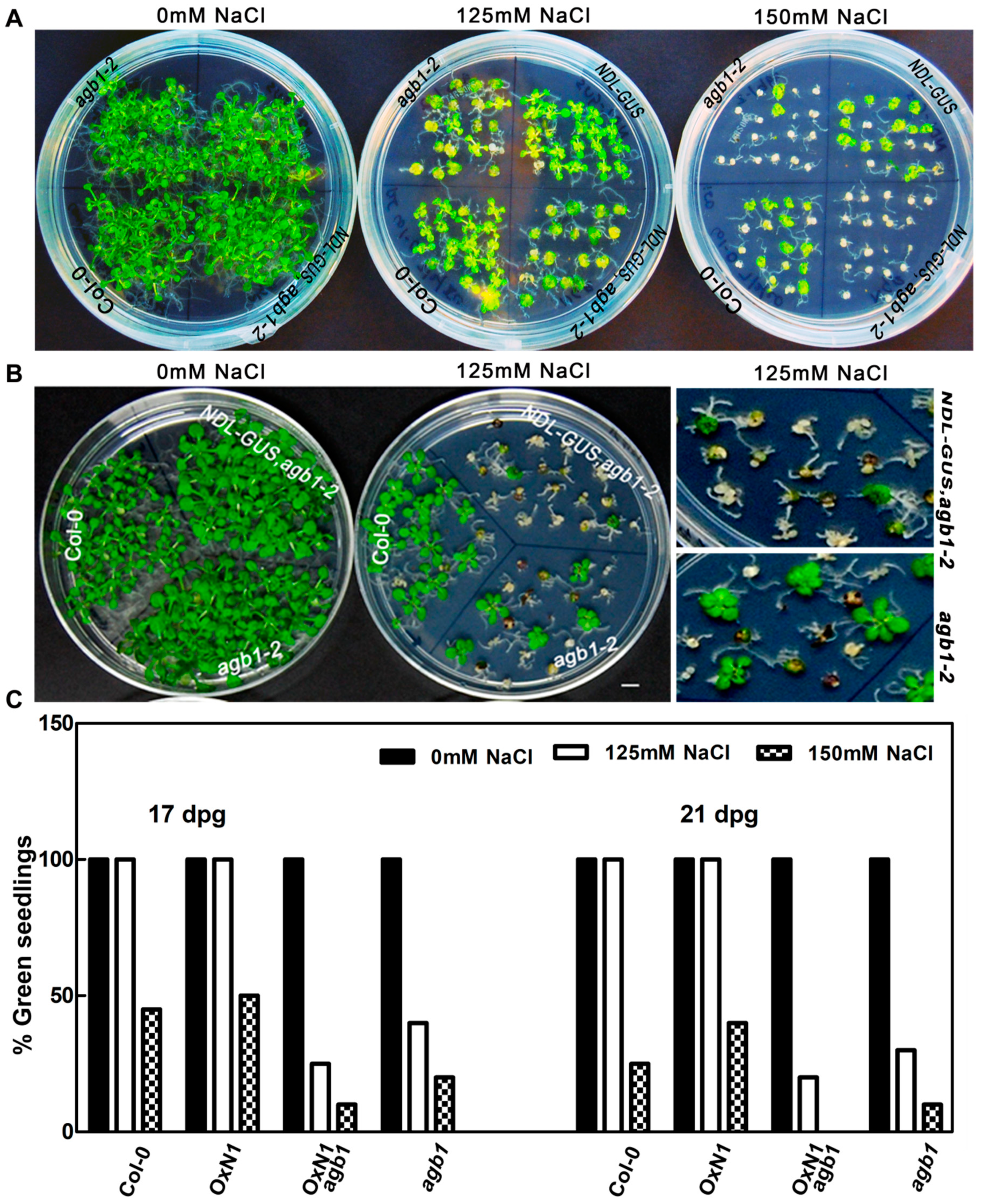 Cells 10 02261 g002 Cells 10 02261 g002