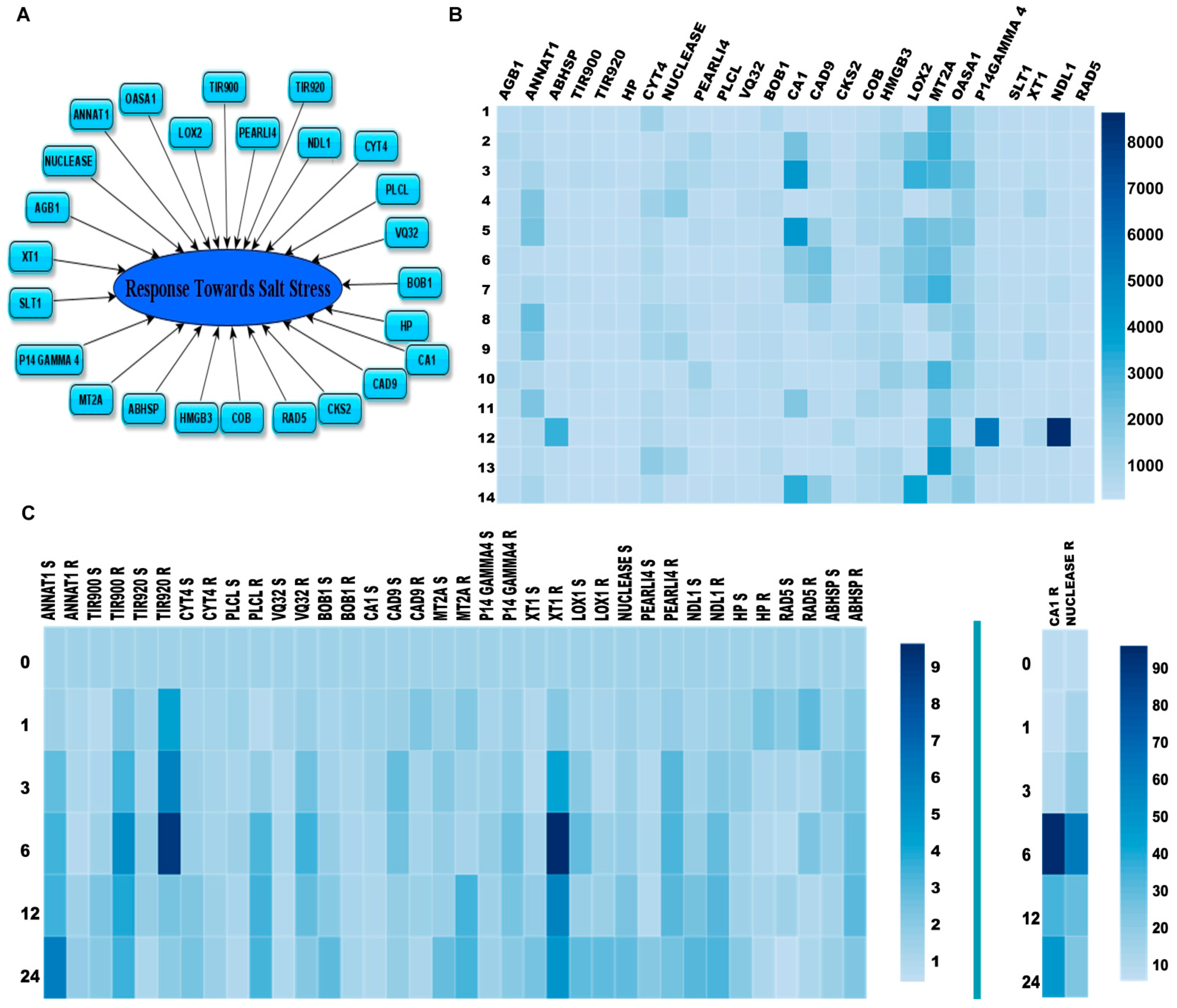 Cells 10 02261 g003 Cells 10 02261 g003