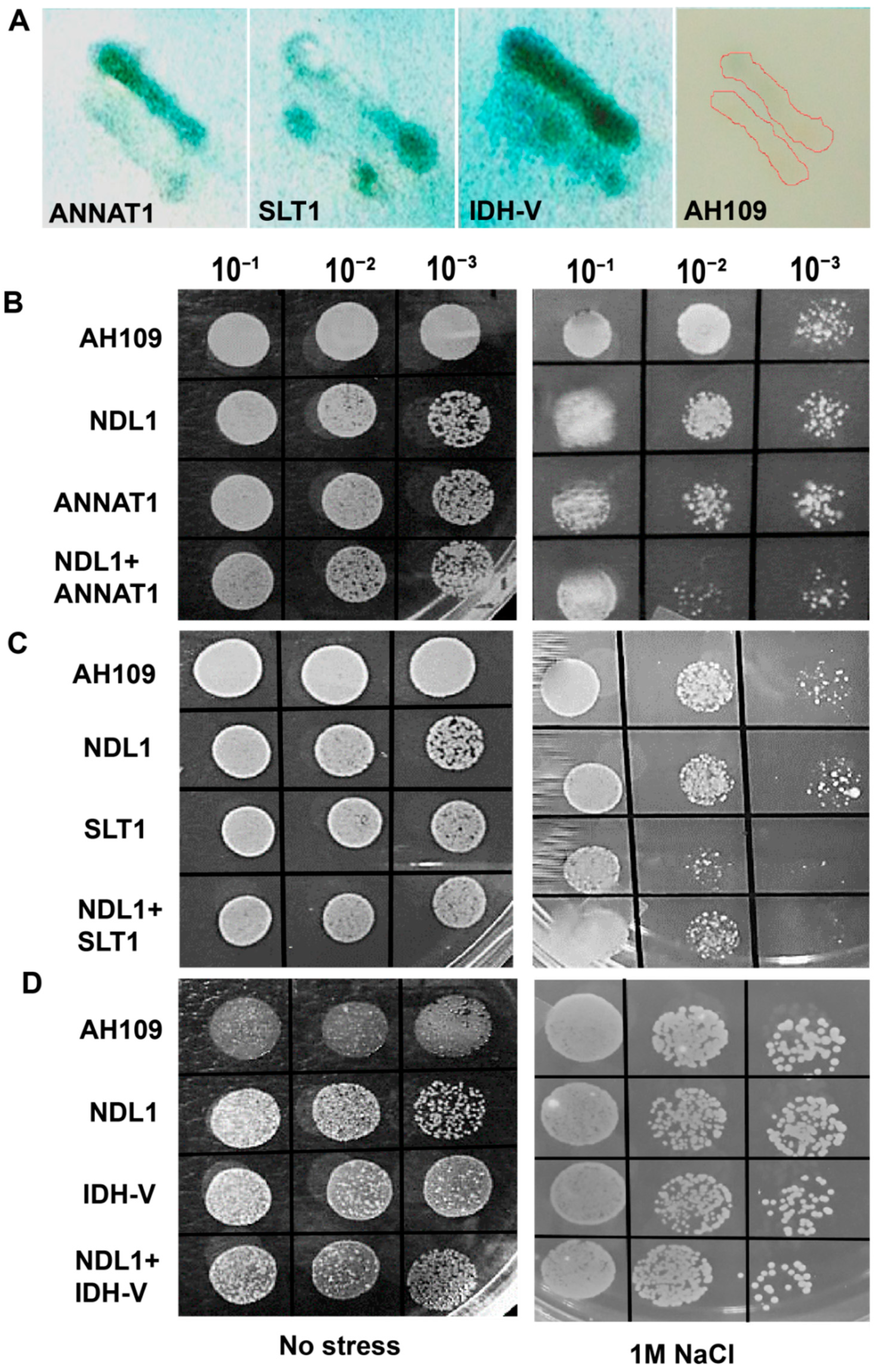 Cells 10 02261 g004 Cells 10 02261 g004