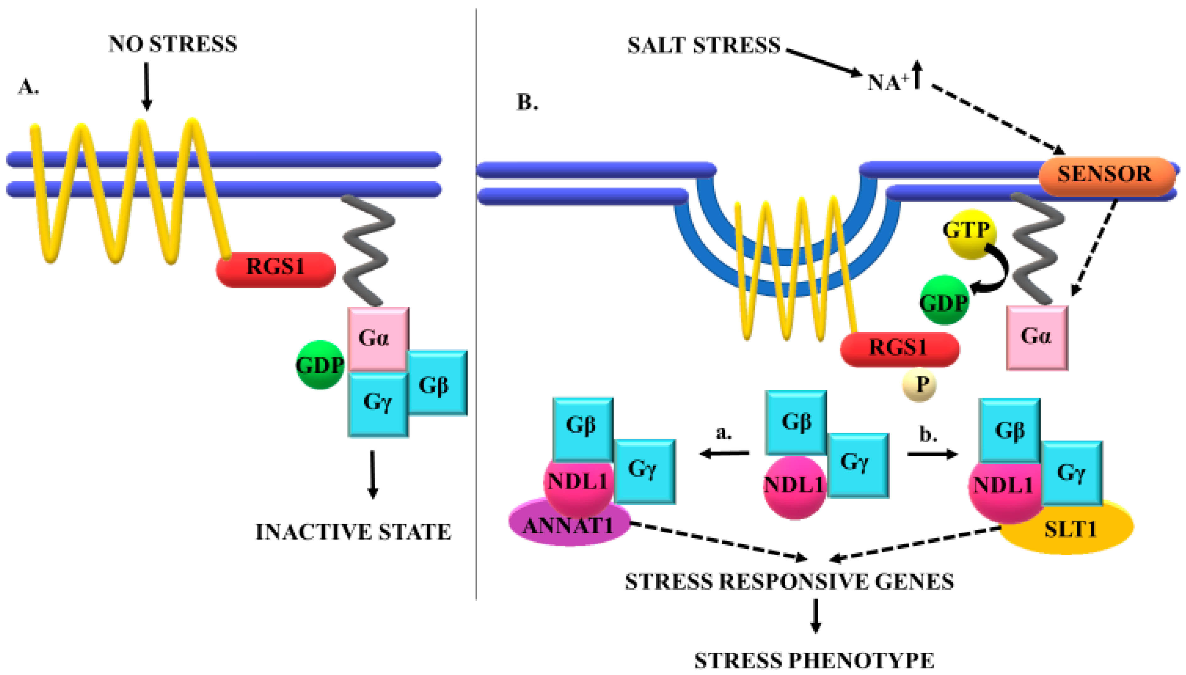 Cells 10 02261 g005 Cells 10 02261 g005