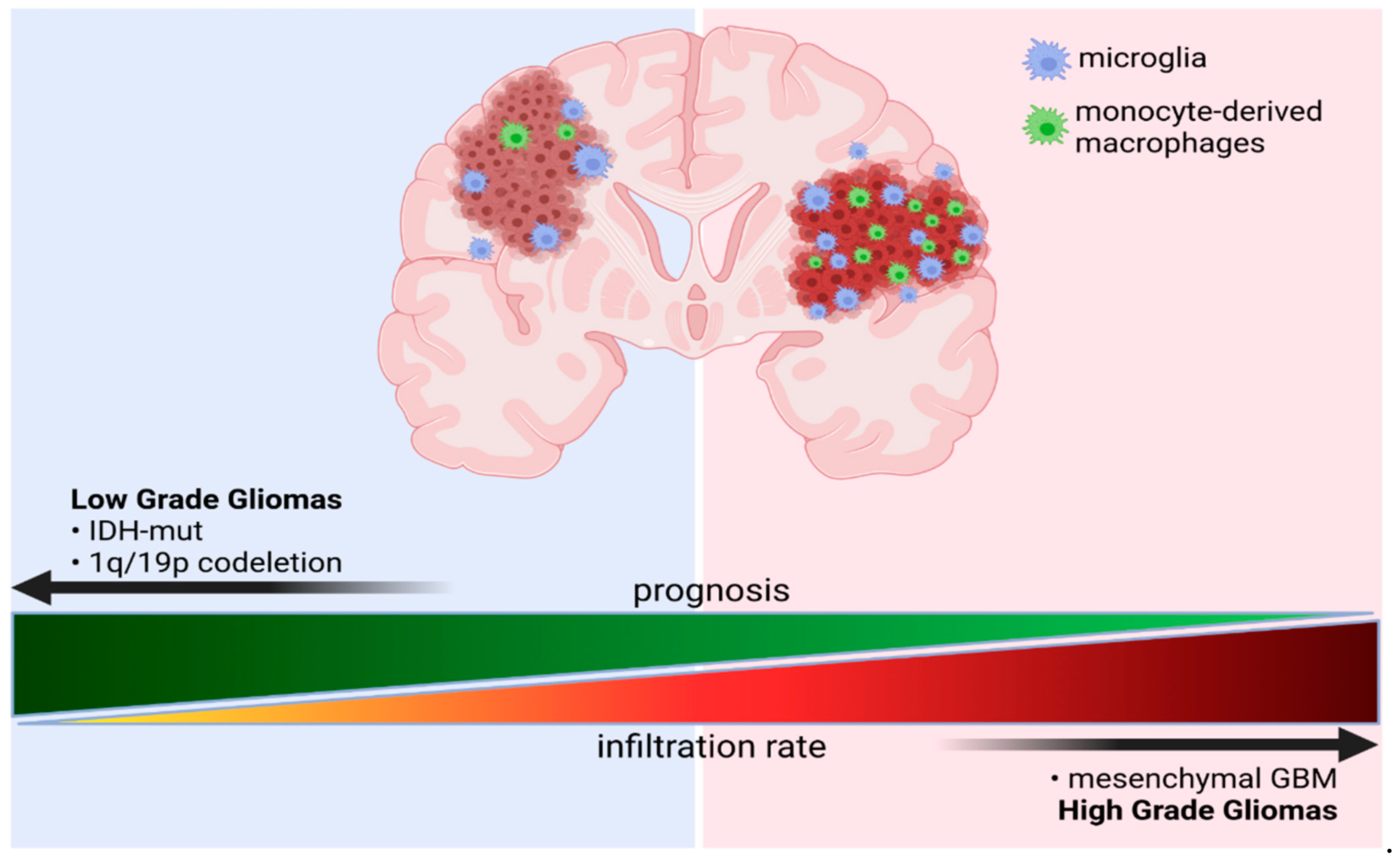 Cells 10 02264 g001 Cells 10 02264 g001
