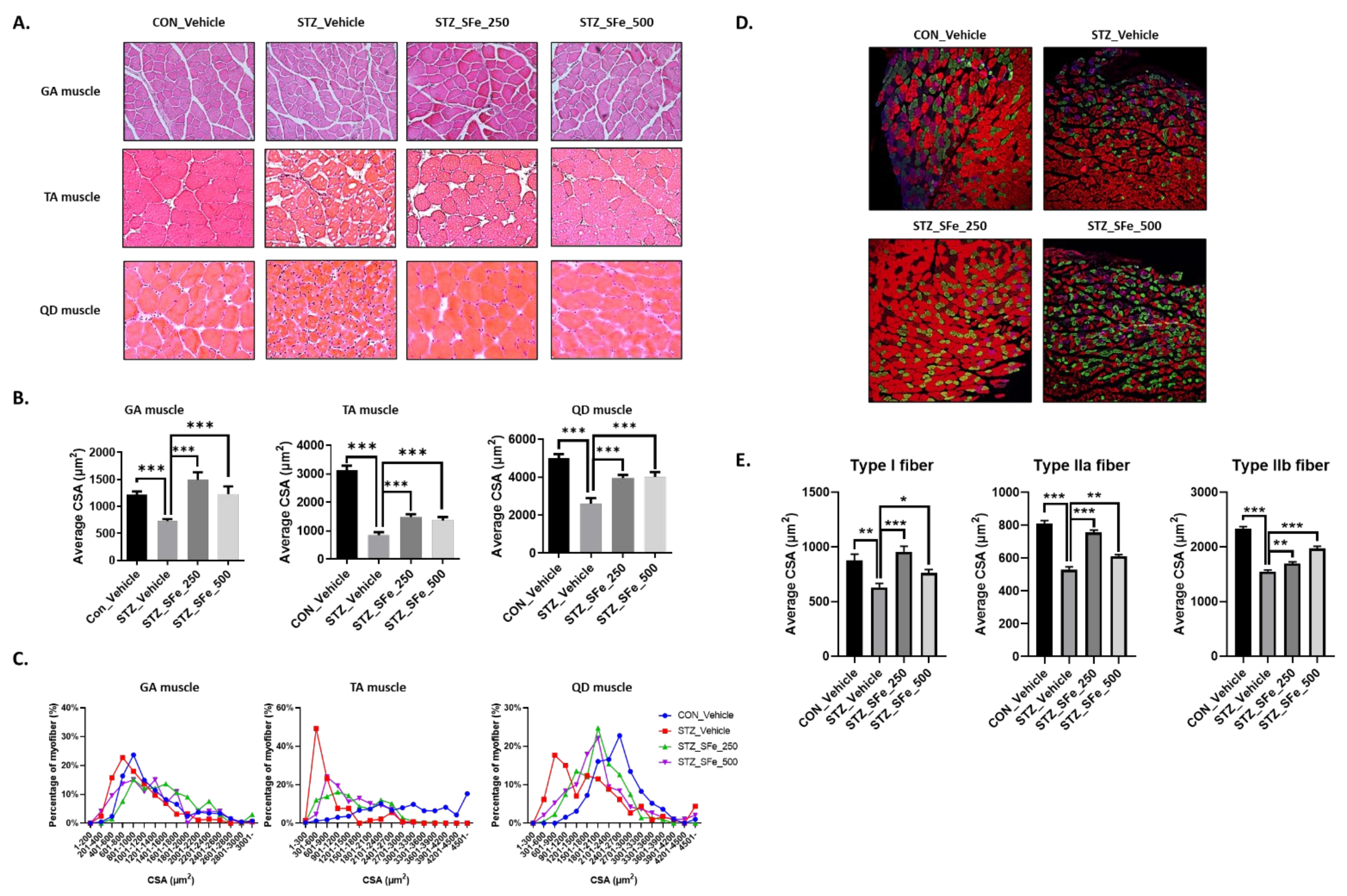 Cells 10 02283 g003 Cells 10 02283 g003