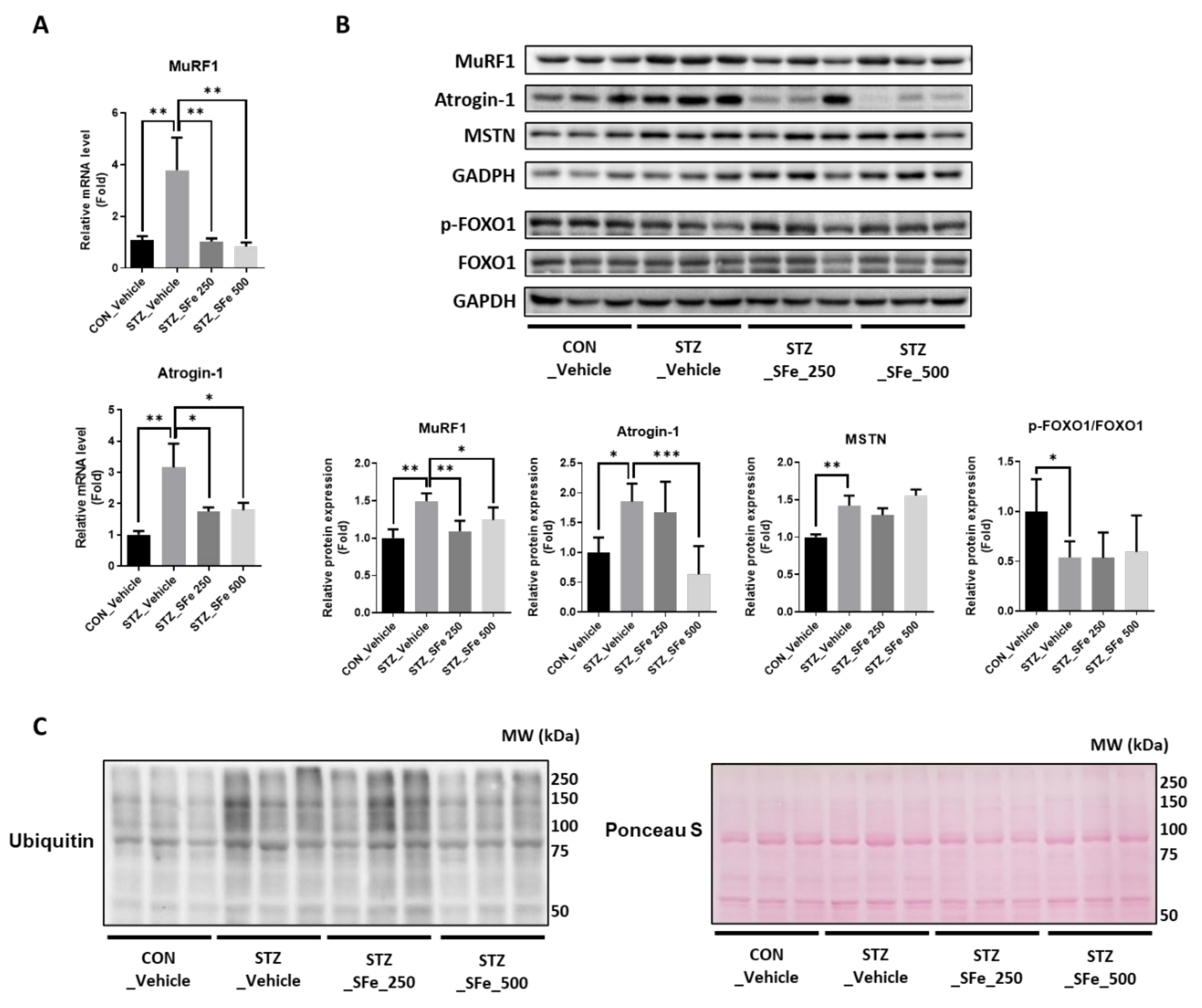 Cells 10 02283 g004 Cells 10 02283 g004
