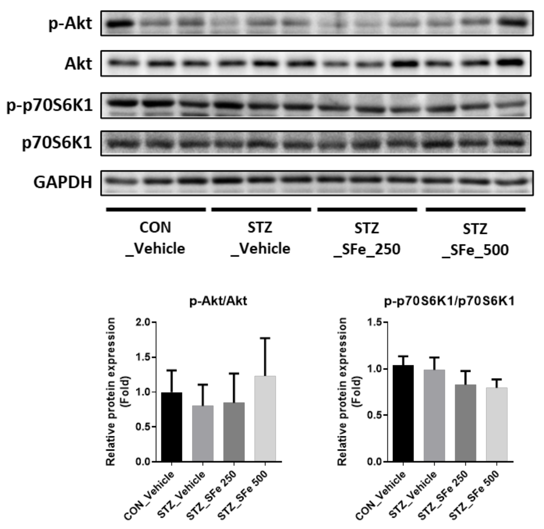 Cells 10 02283 g005 Cells 10 02283 g005
