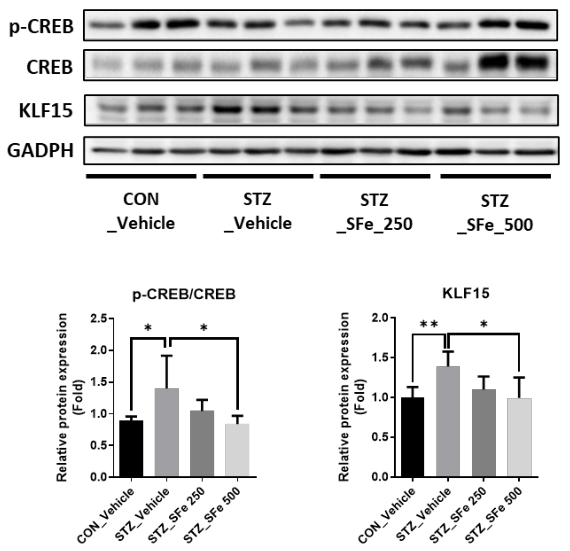 Cells 10 02283 g006 Cells 10 02283 g006