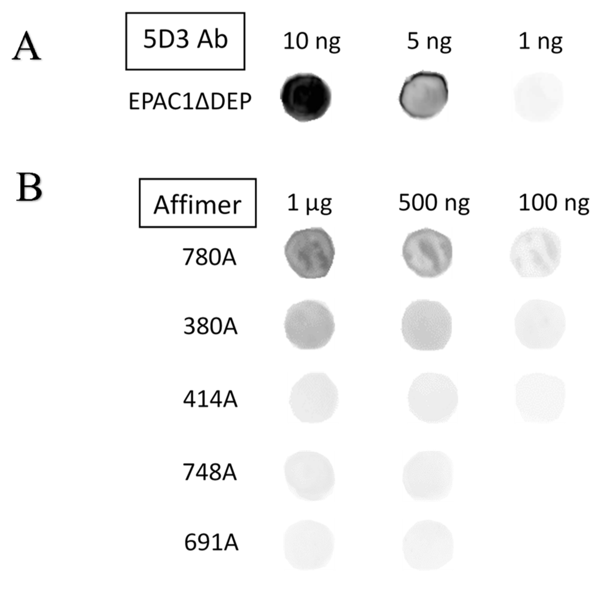 Cells 10 02307 g003 Cells 10 02307 g003