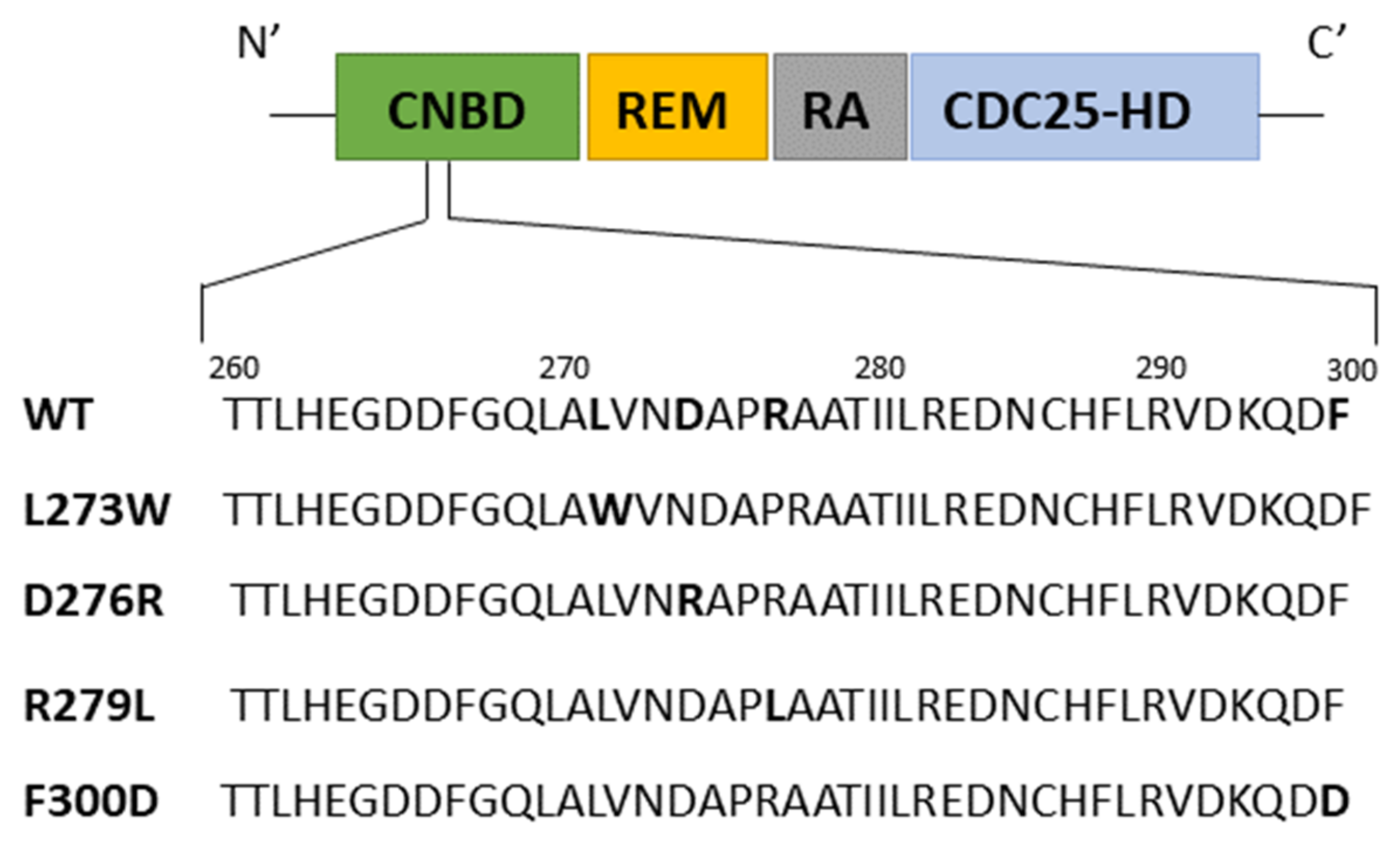 Cells 10 02307 g006 Cells 10 02307 g006
