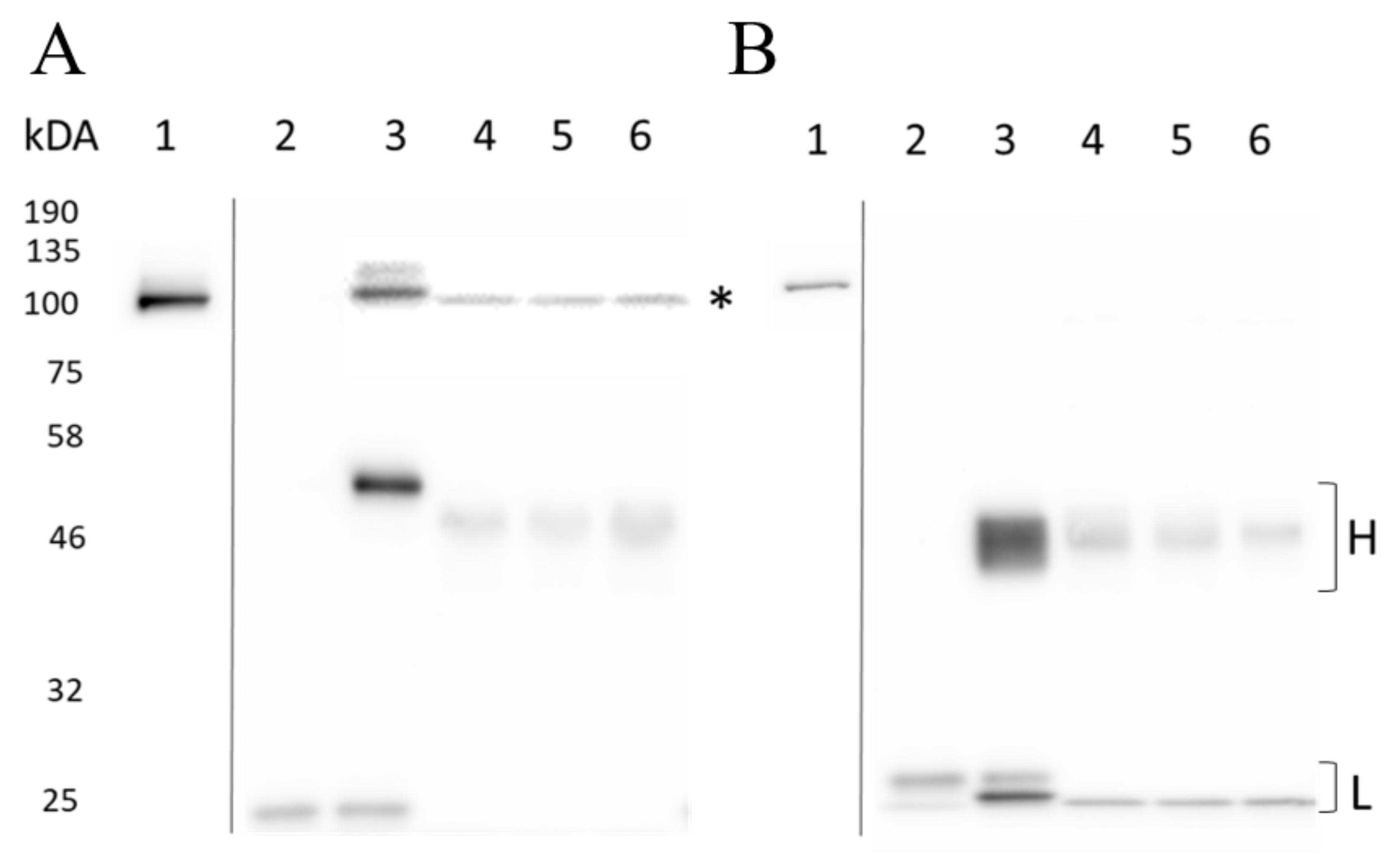 Cells 10 02307 g009 Cells 10 02307 g009
