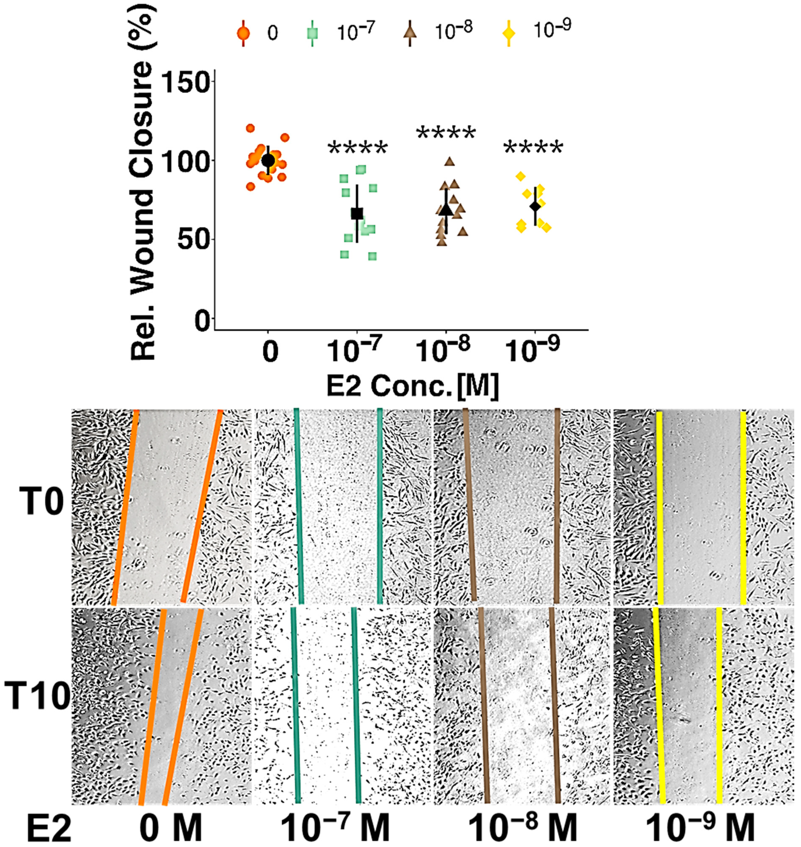 Cells 10 02314 g001 Cells 10 02314 g001