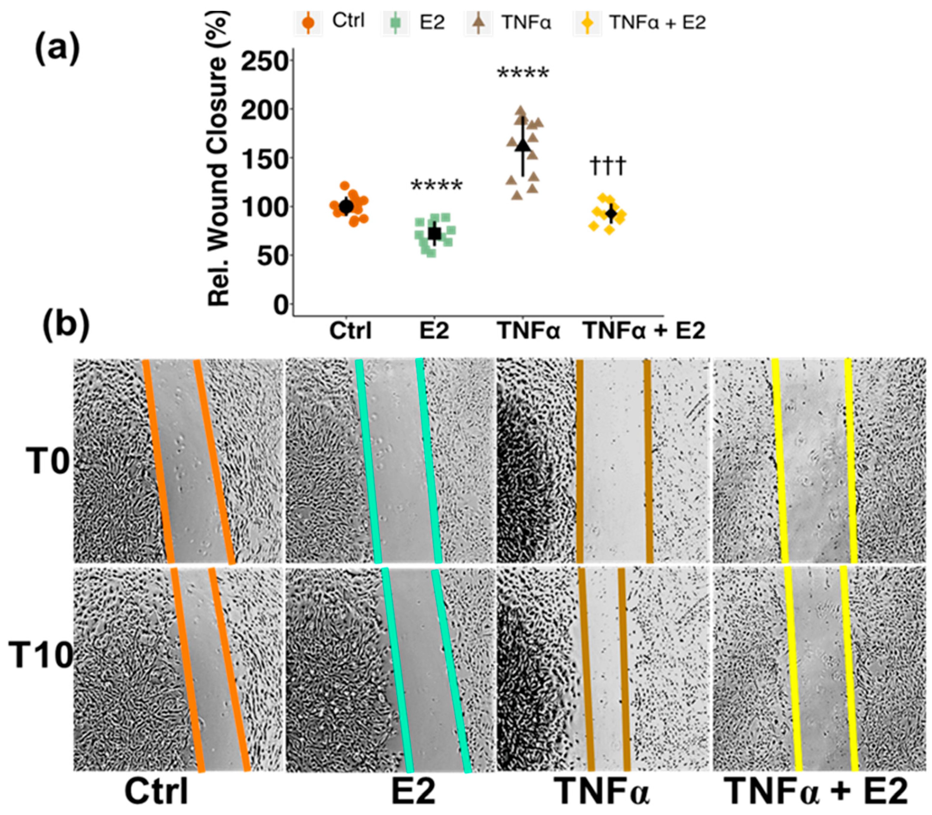 Cells 10 02314 g003 Cells 10 02314 g003