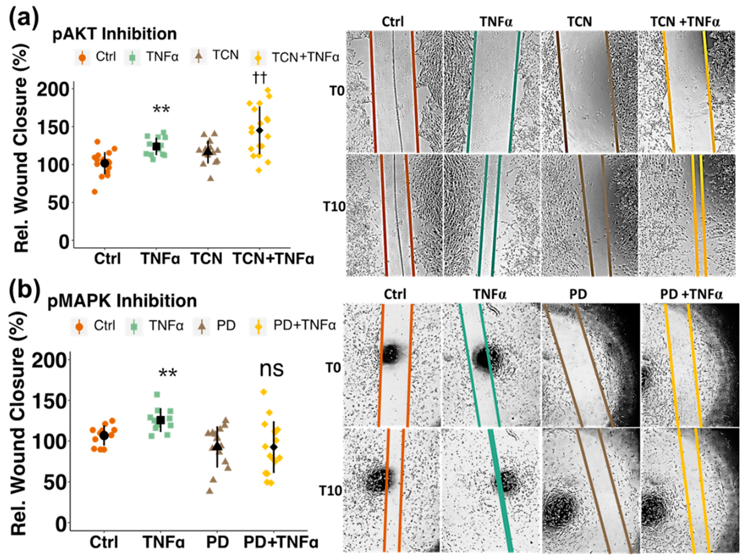 Cells 10 02314 g005 Cells 10 02314 g005