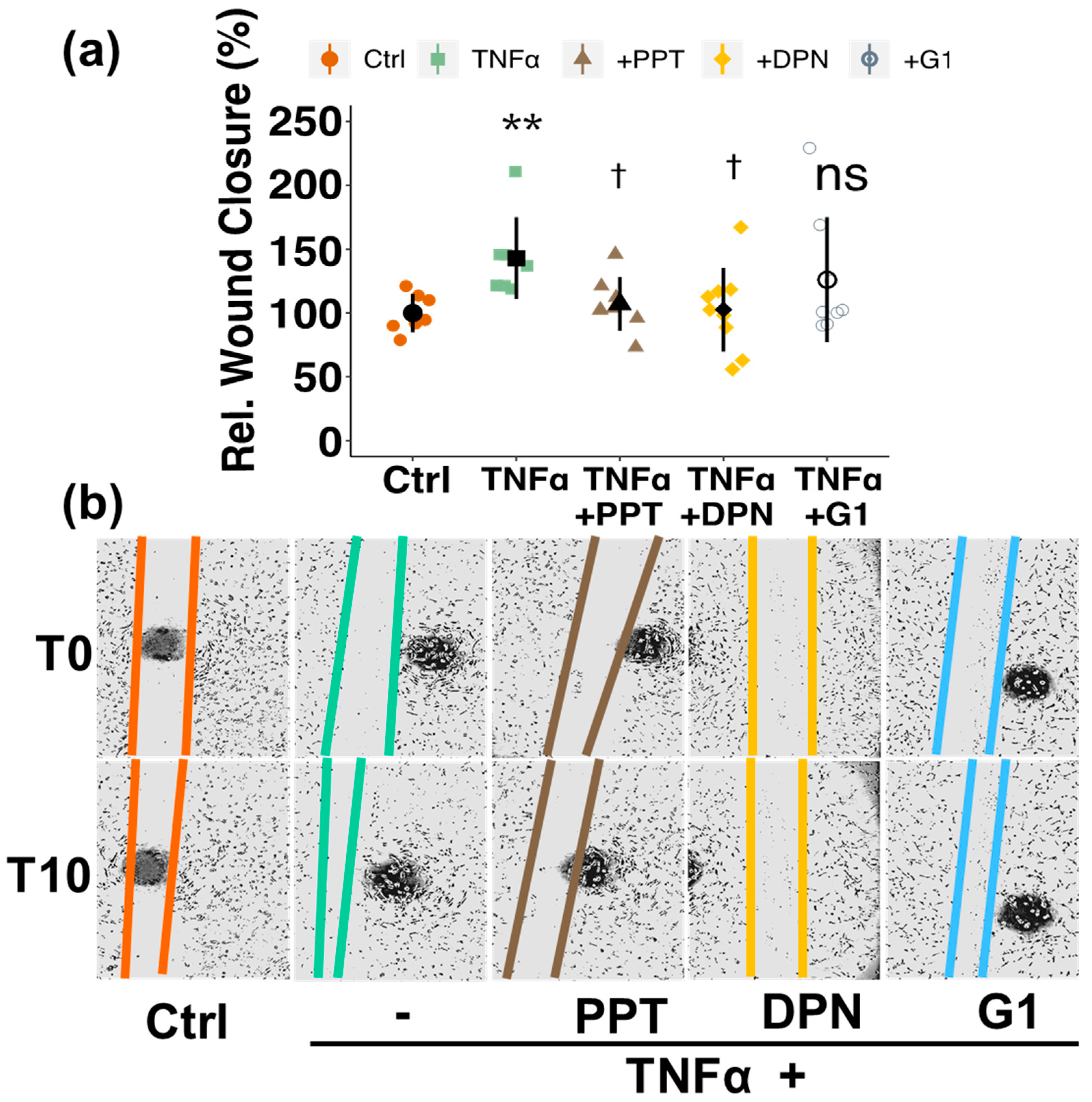 Cells 10 02314 g007 Cells 10 02314 g007