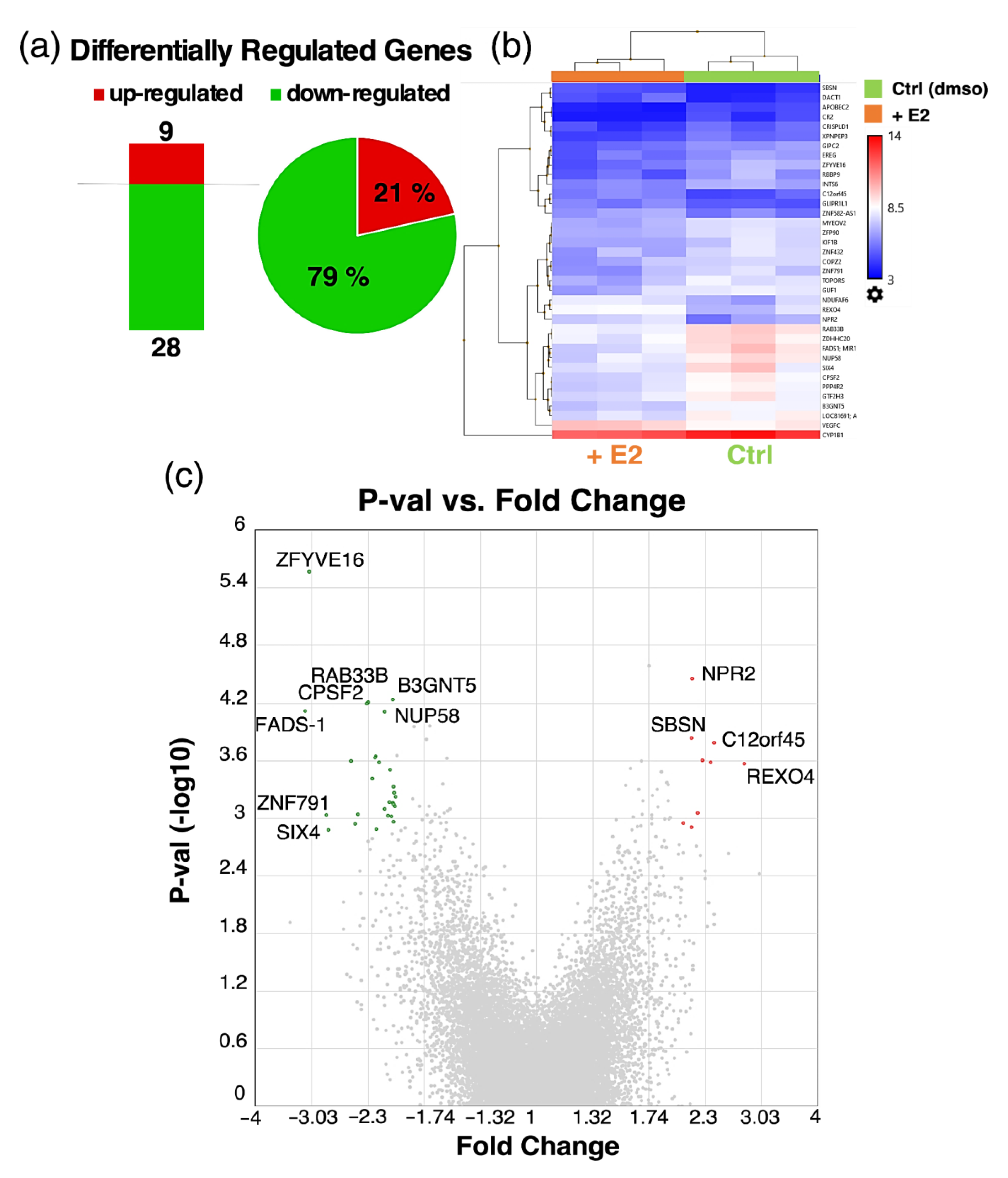 Cells 10 02314 g008 Cells 10 02314 g008
