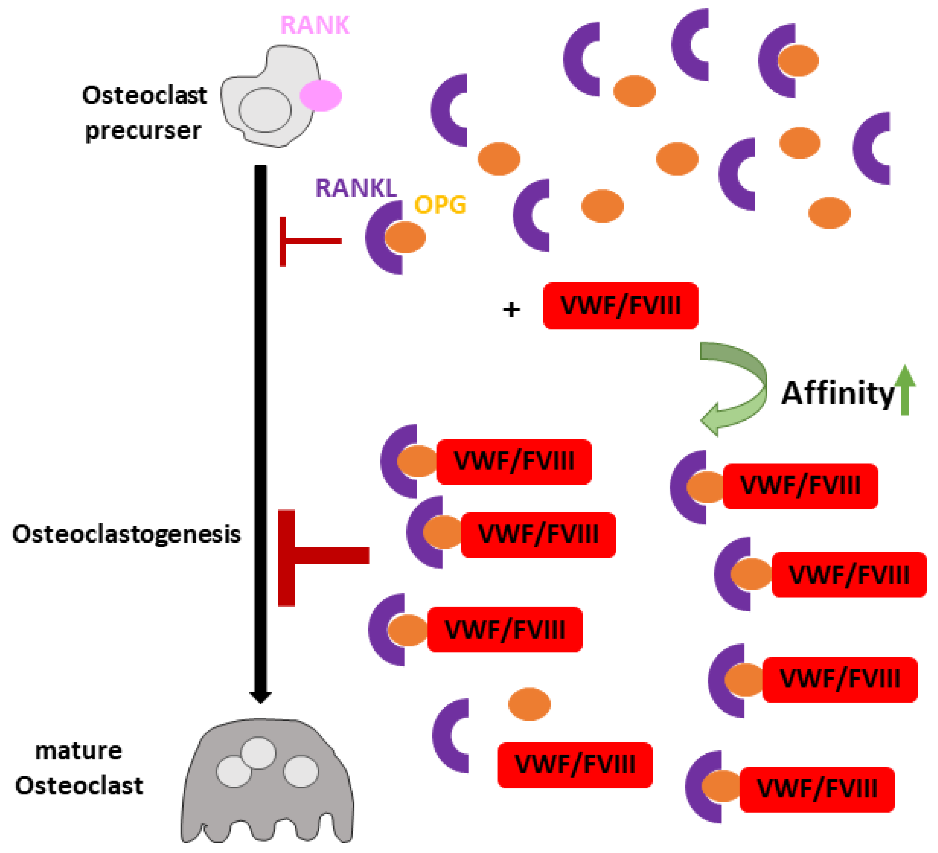 Cells 10 02351 g003 Cells 10 02351 g003