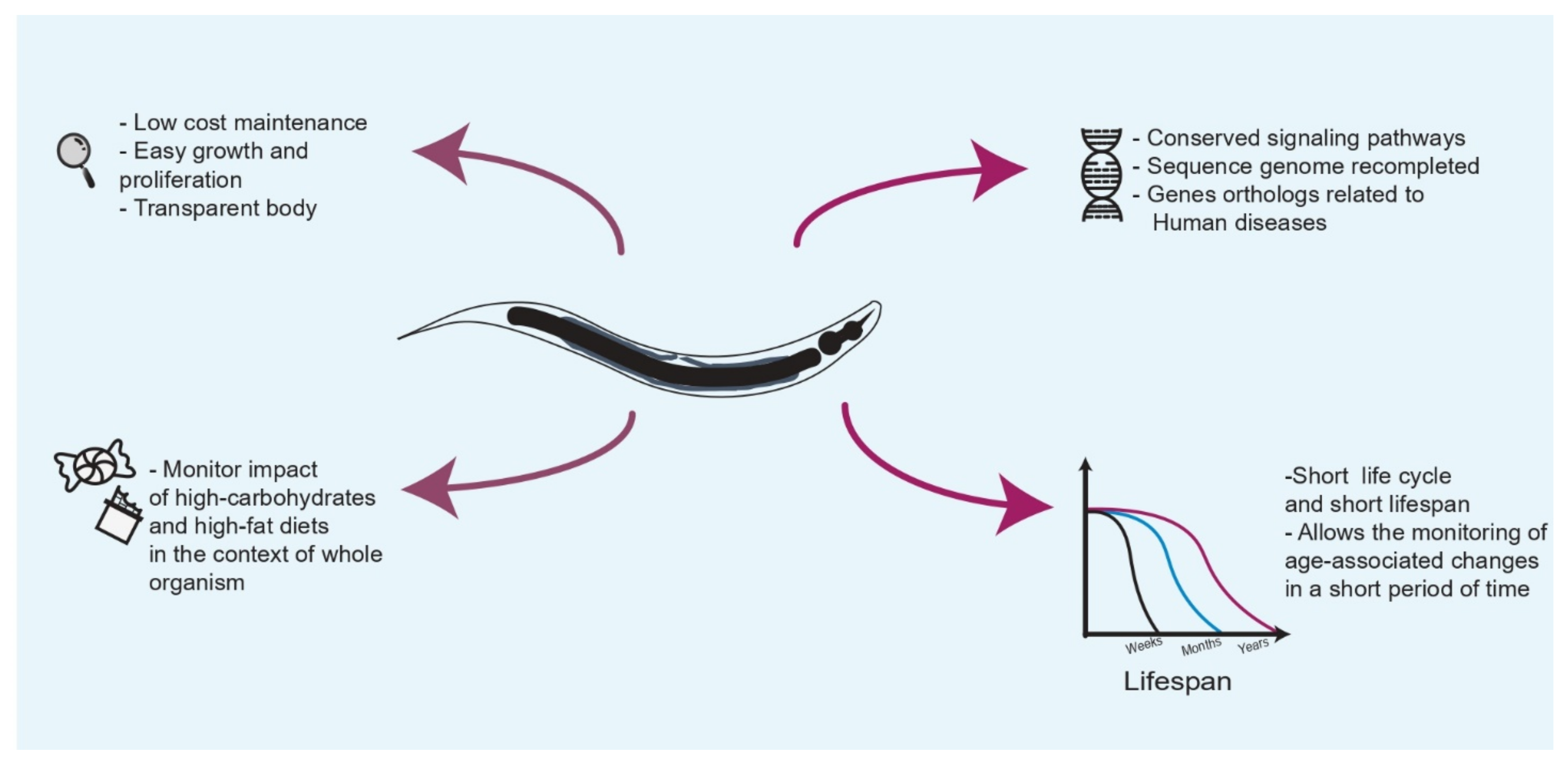 Cells 10 02359 g001 Cells 10 02359 g001