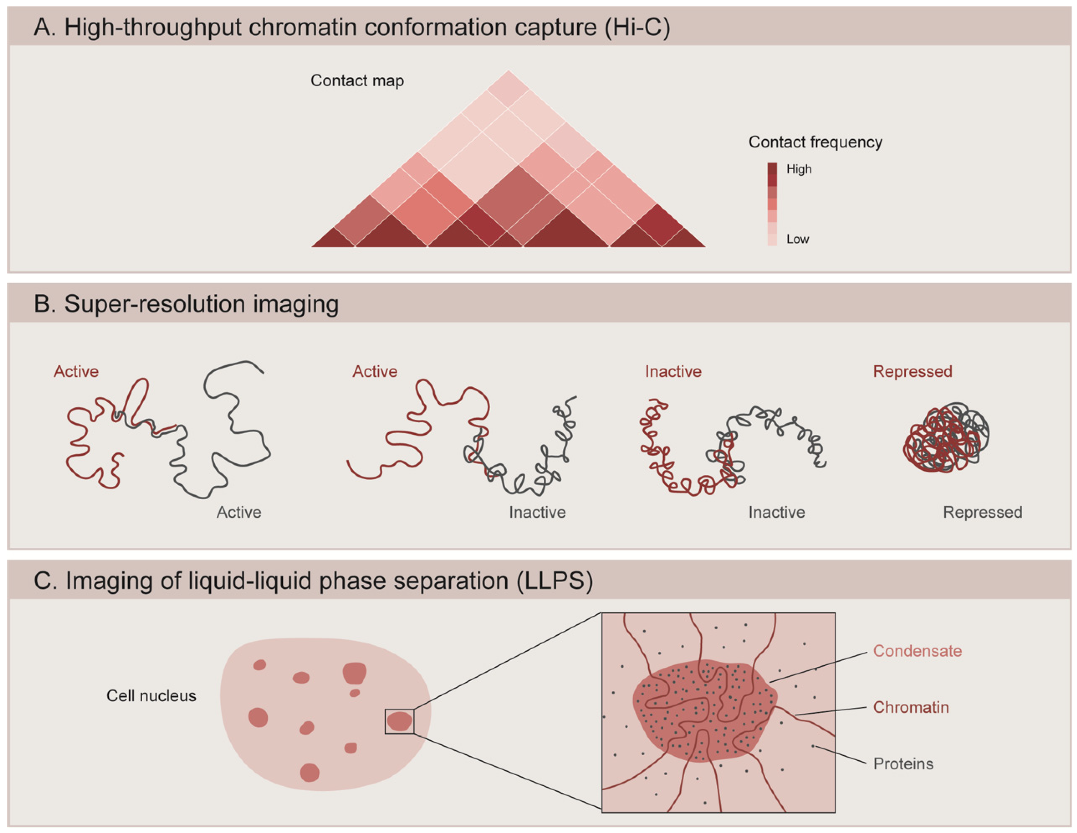 Cells 10 02362 g002 Cells 10 02362 g002