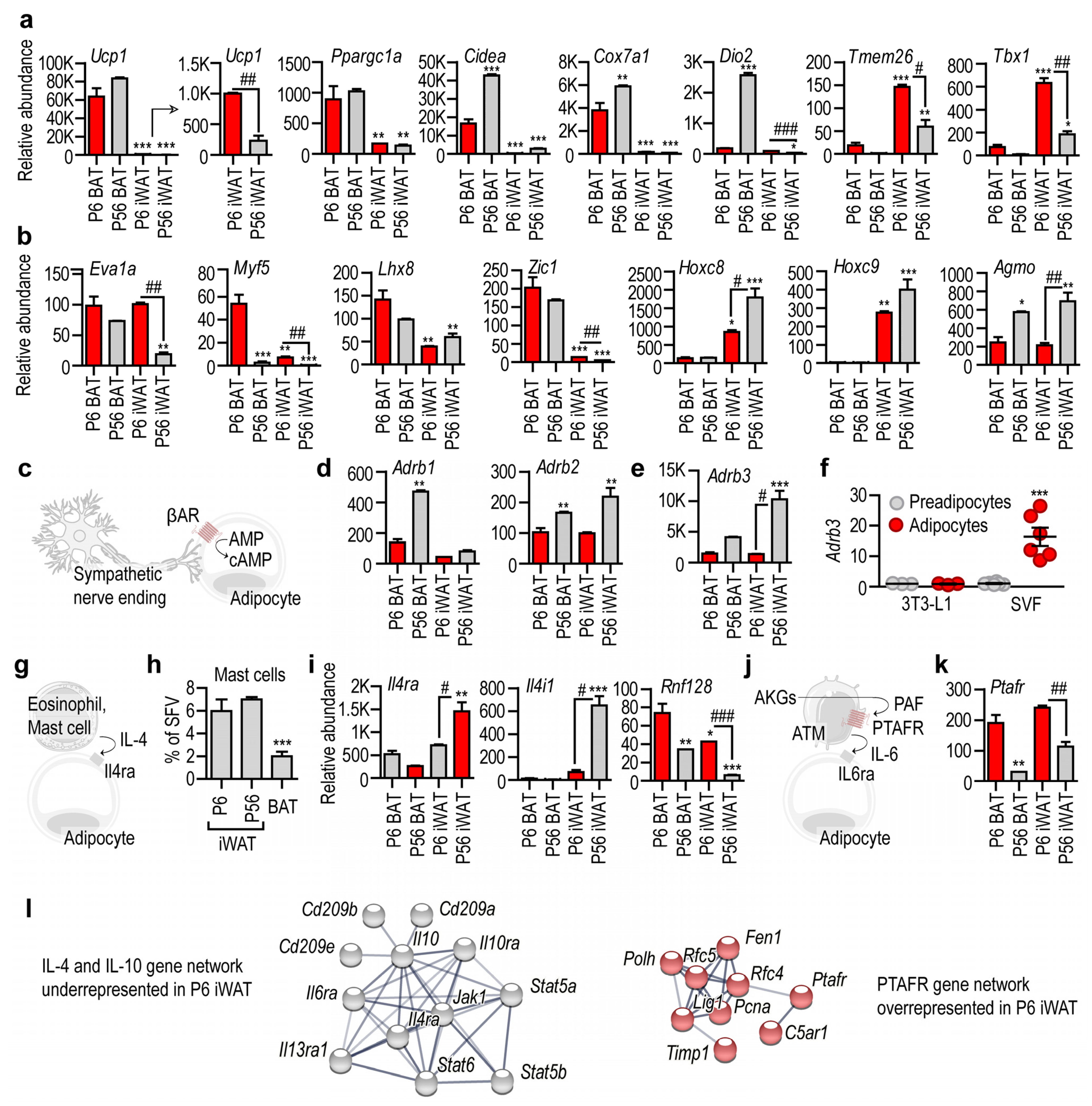 Cells 10 02368 g005 Cells 10 02368 g005