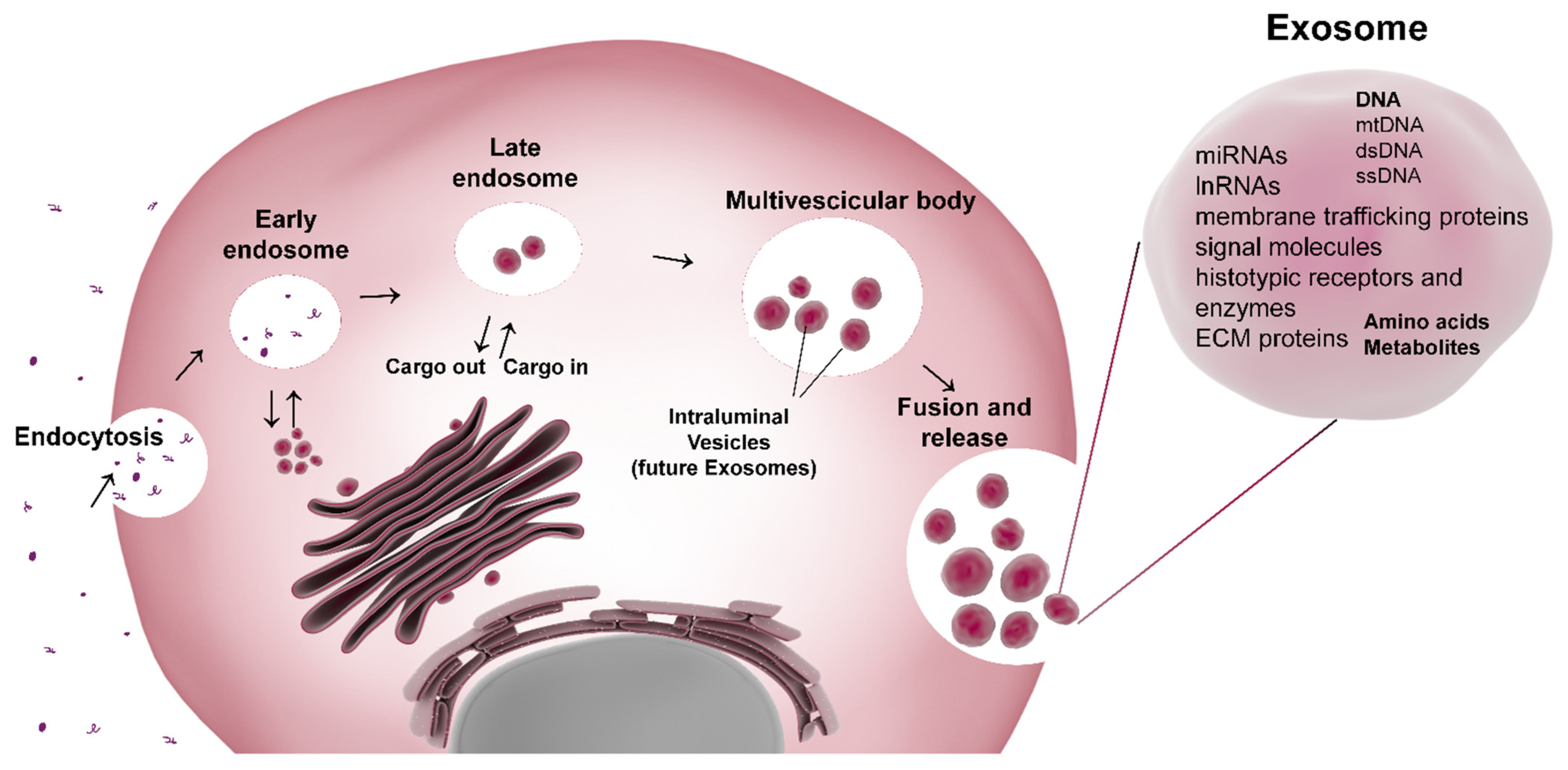Cells 10 02383 g009 Cells 10 02383 g009