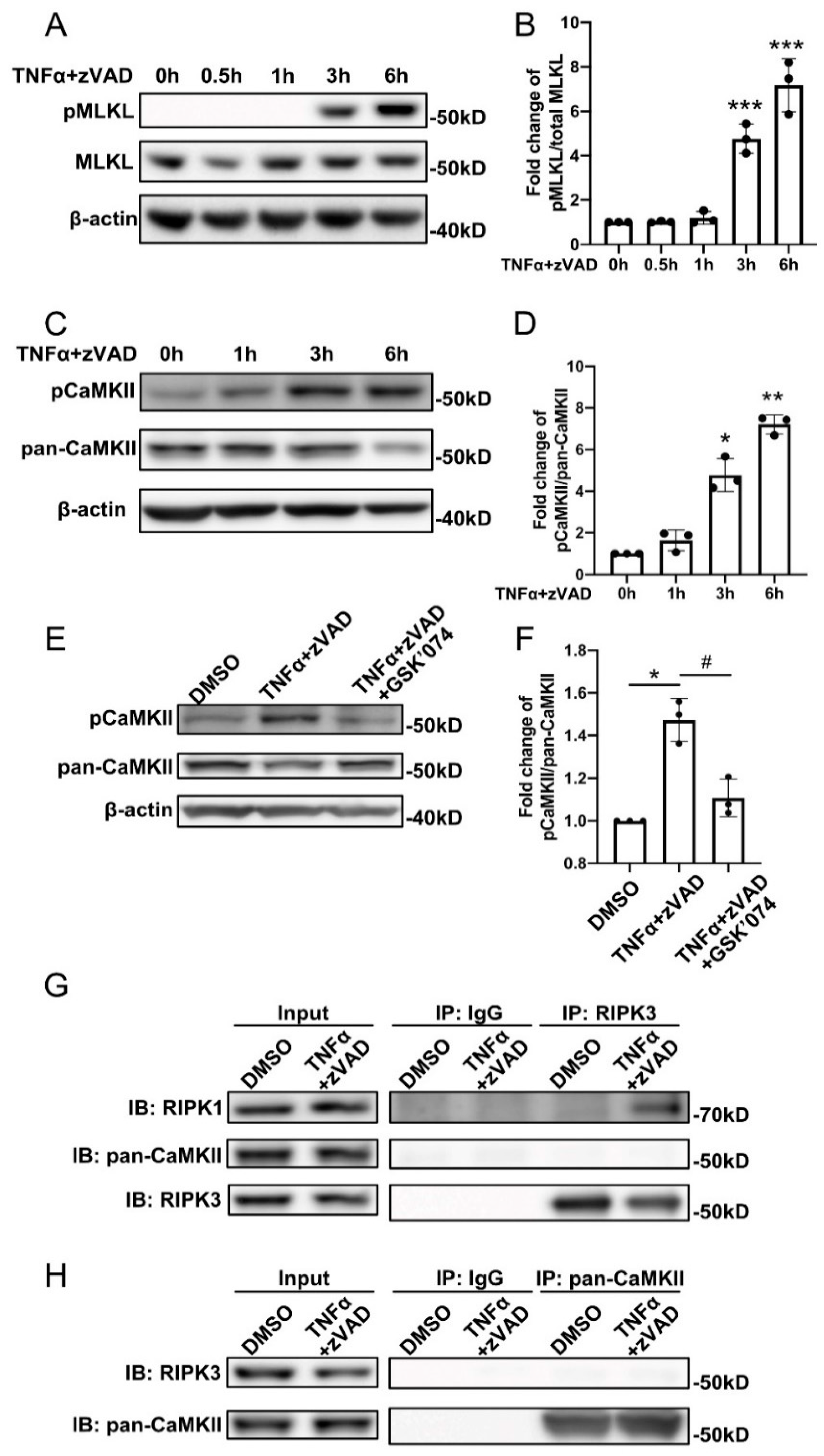 Cells 10 02397 g002 Cells 10 02397 g002