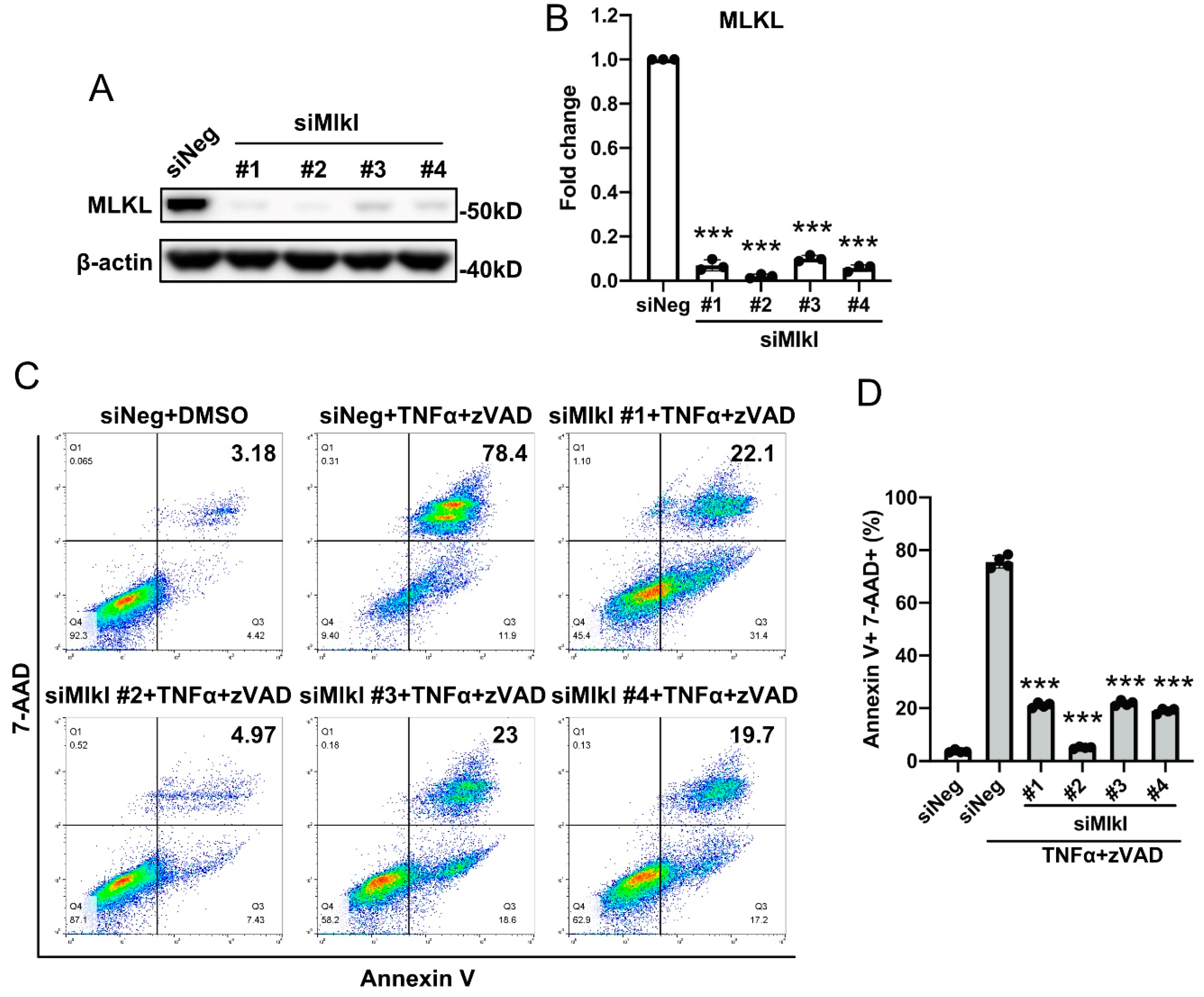 Cells 10 02397 g003 Cells 10 02397 g003