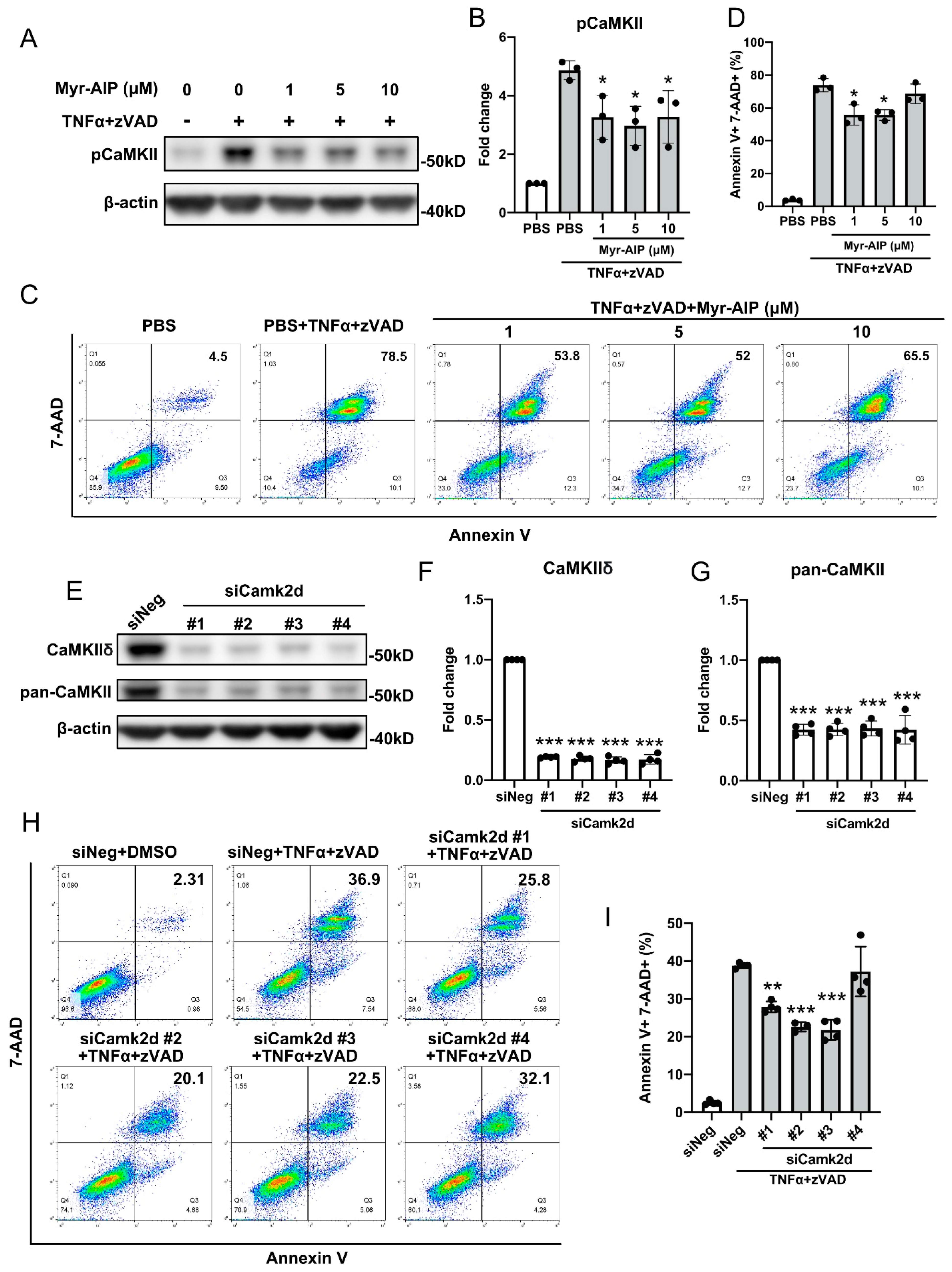 Cells 10 02397 g004 Cells 10 02397 g004