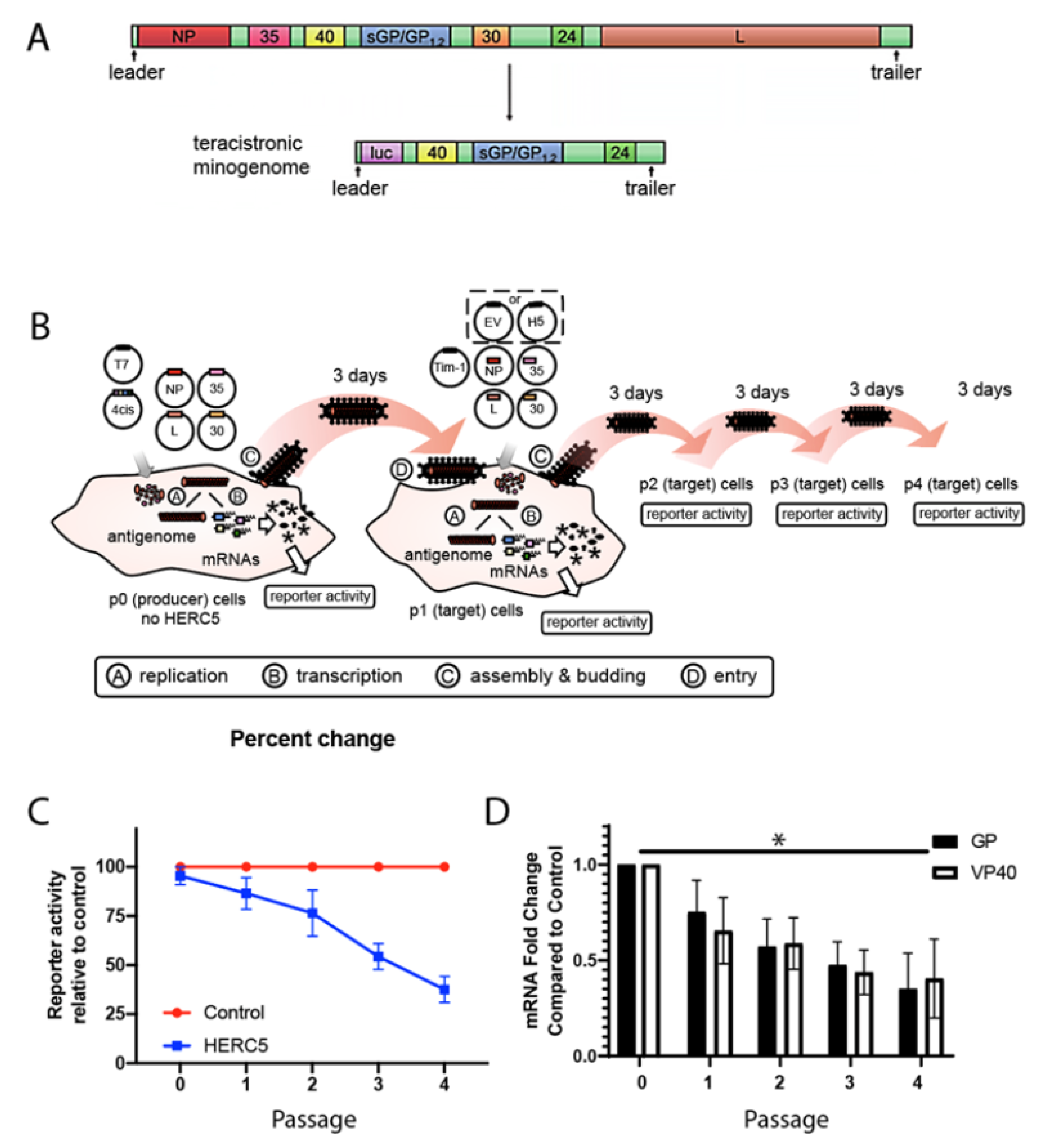 Cells 10 02399 g001 Cells 10 02399 g001