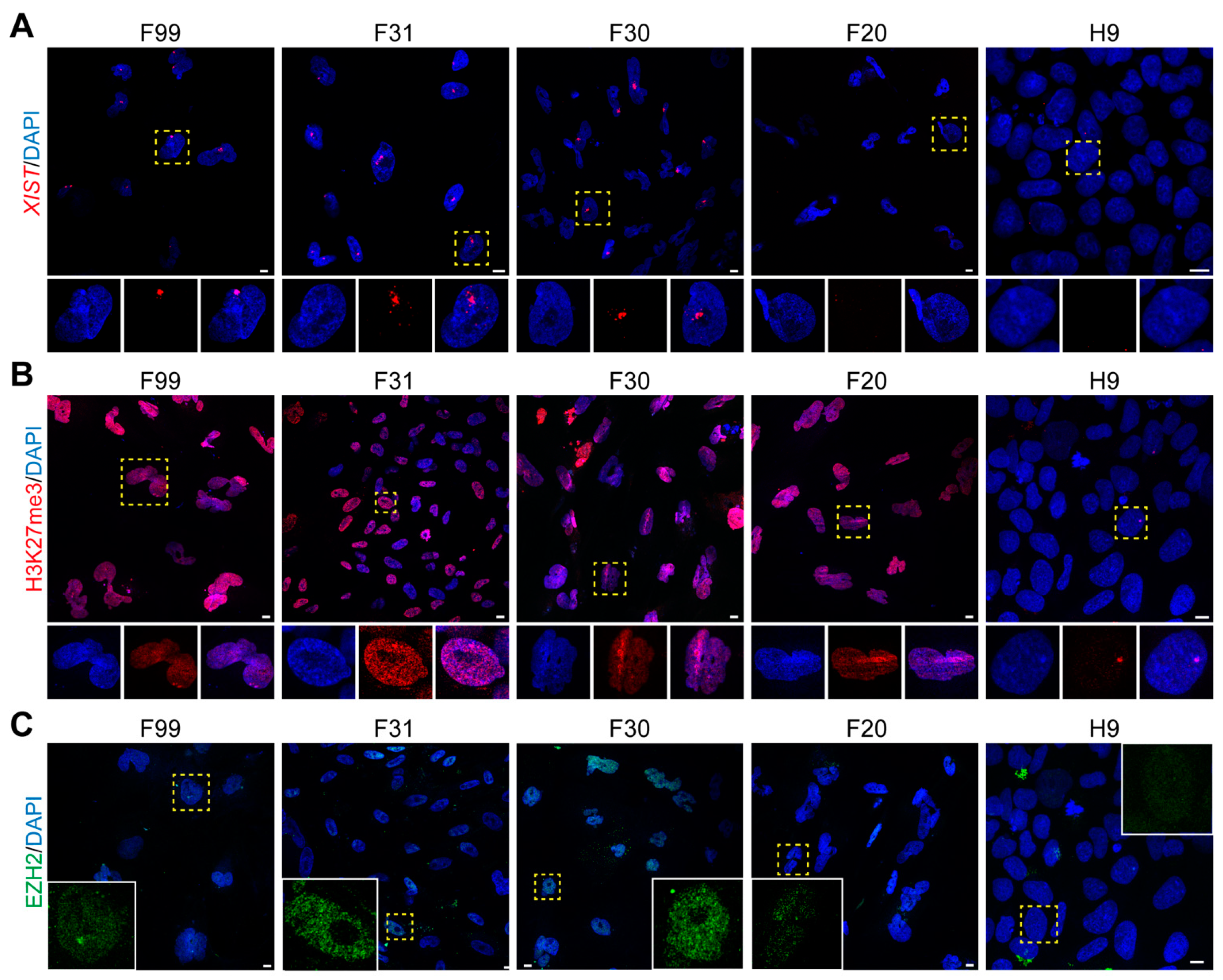 Cells 10 02400 g002 Cells 10 02400 g002
