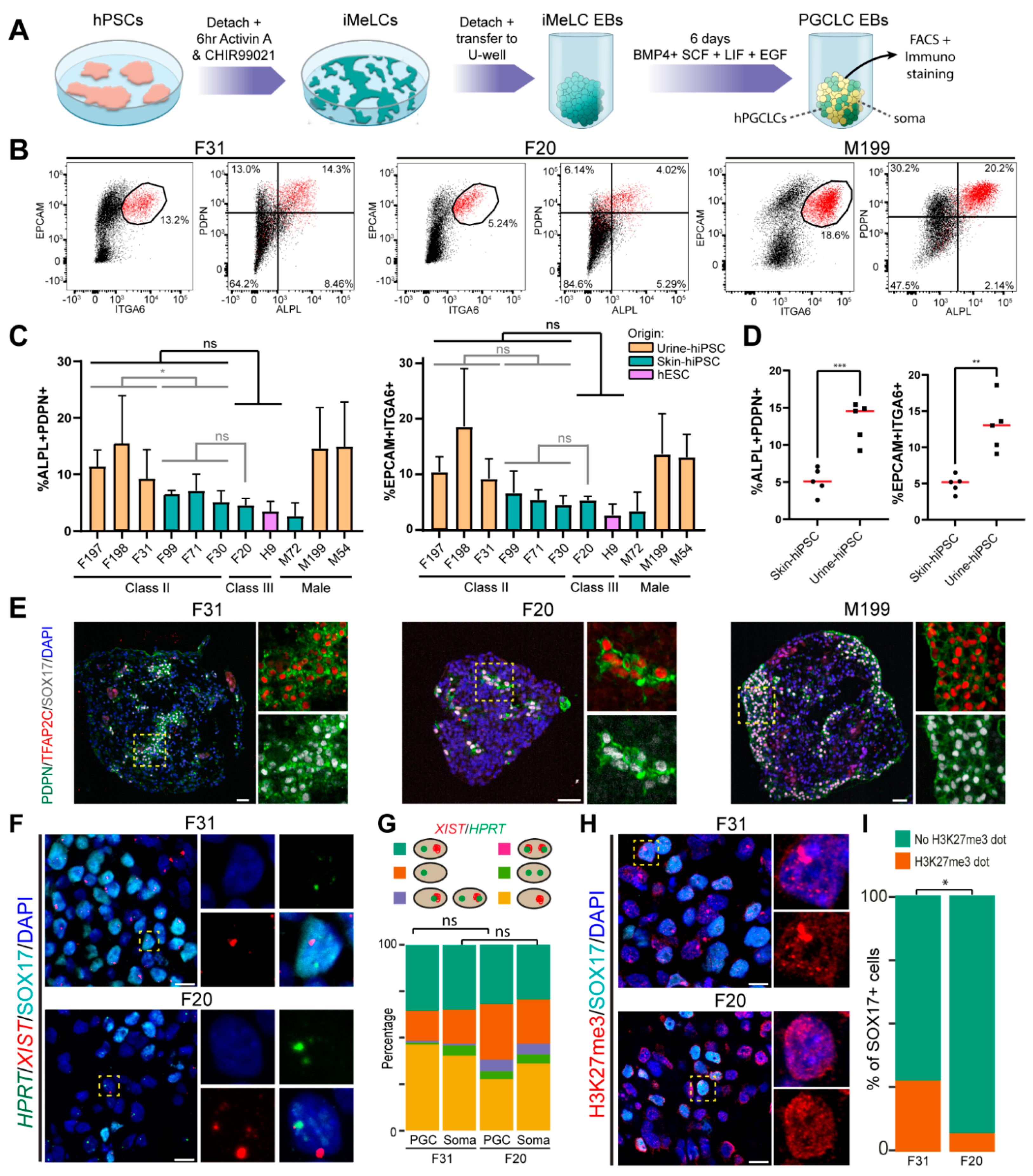 Cells 10 02400 g003 Cells 10 02400 g003