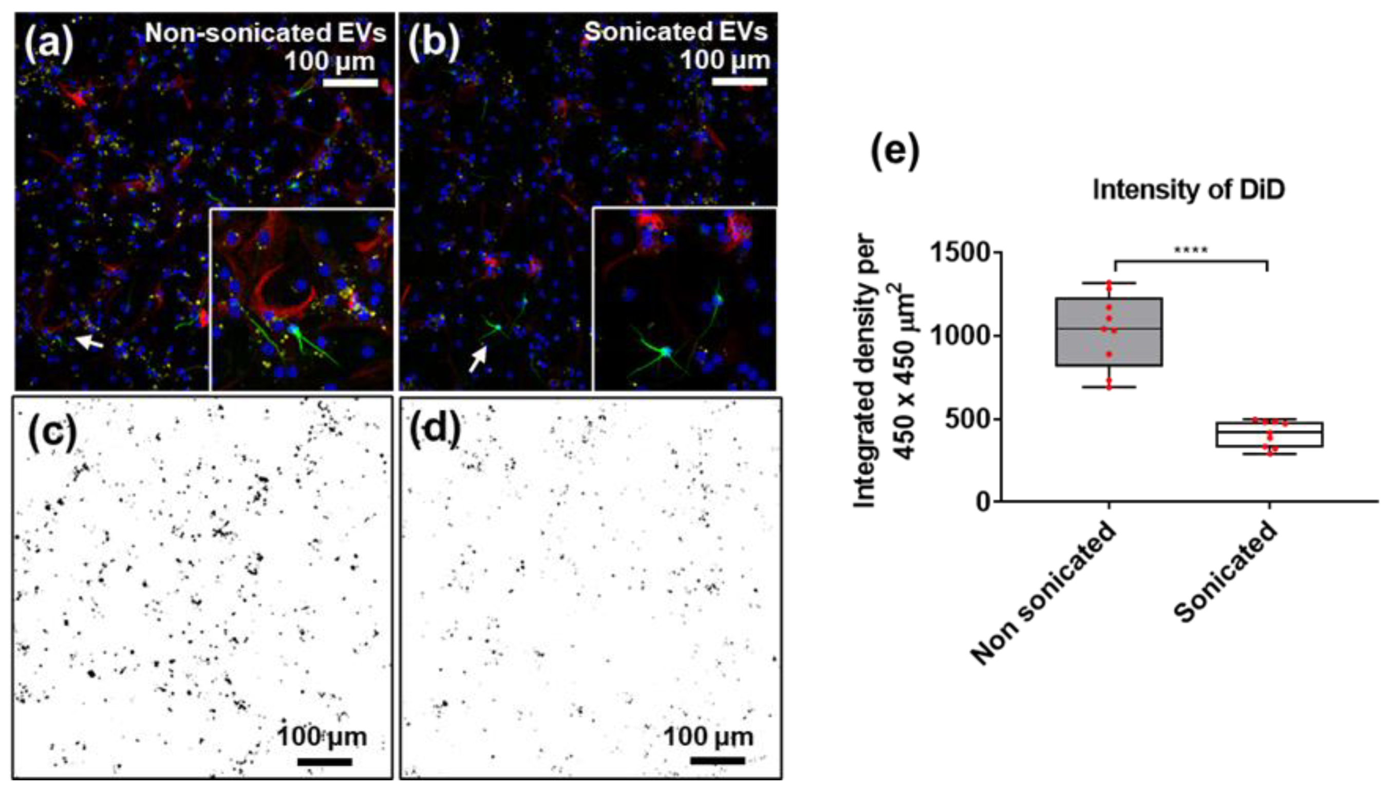 Cells 10 02413 g005