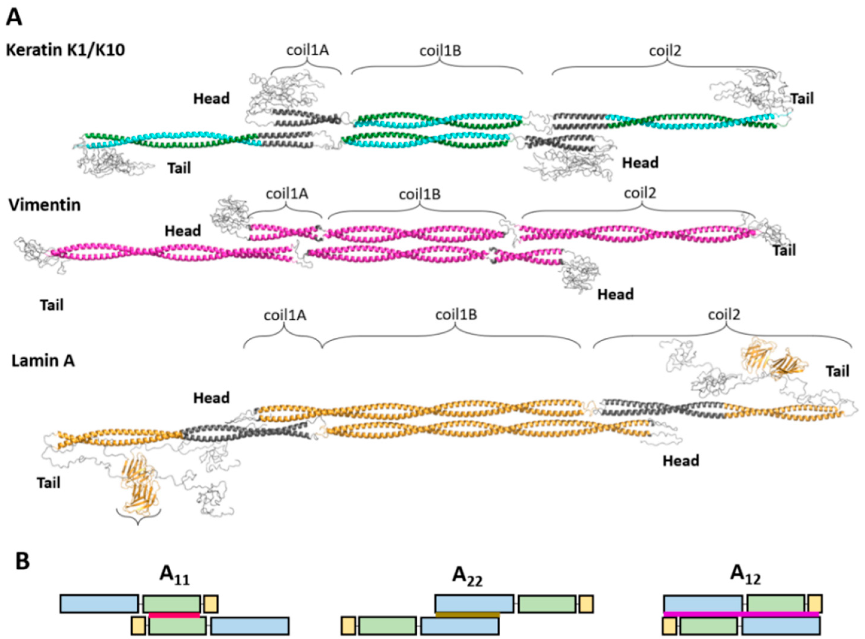 Cells 10 02457 g001 Cells 10 02457 g001