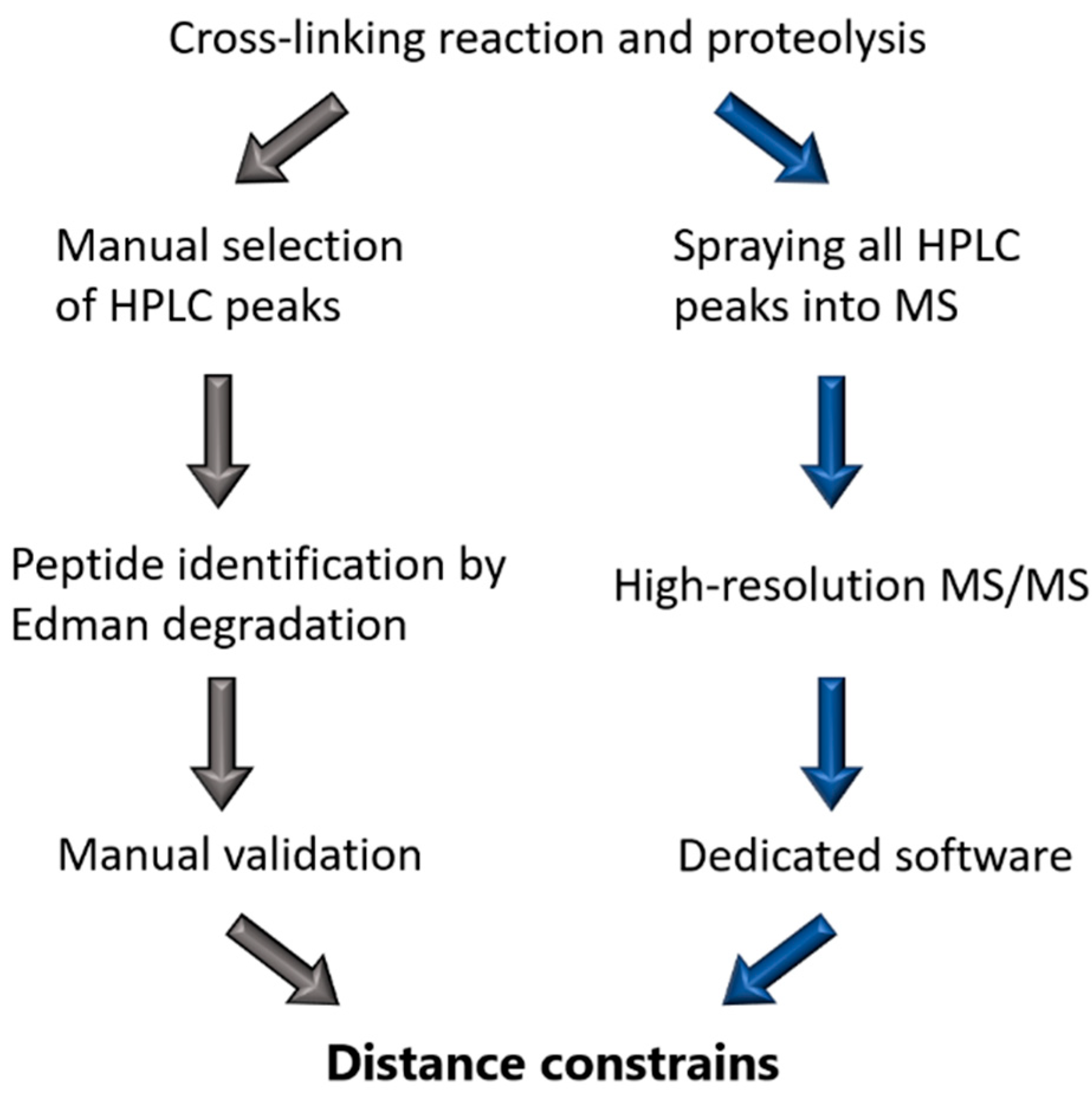 Cells 10 02457 g002 Cells 10 02457 g002