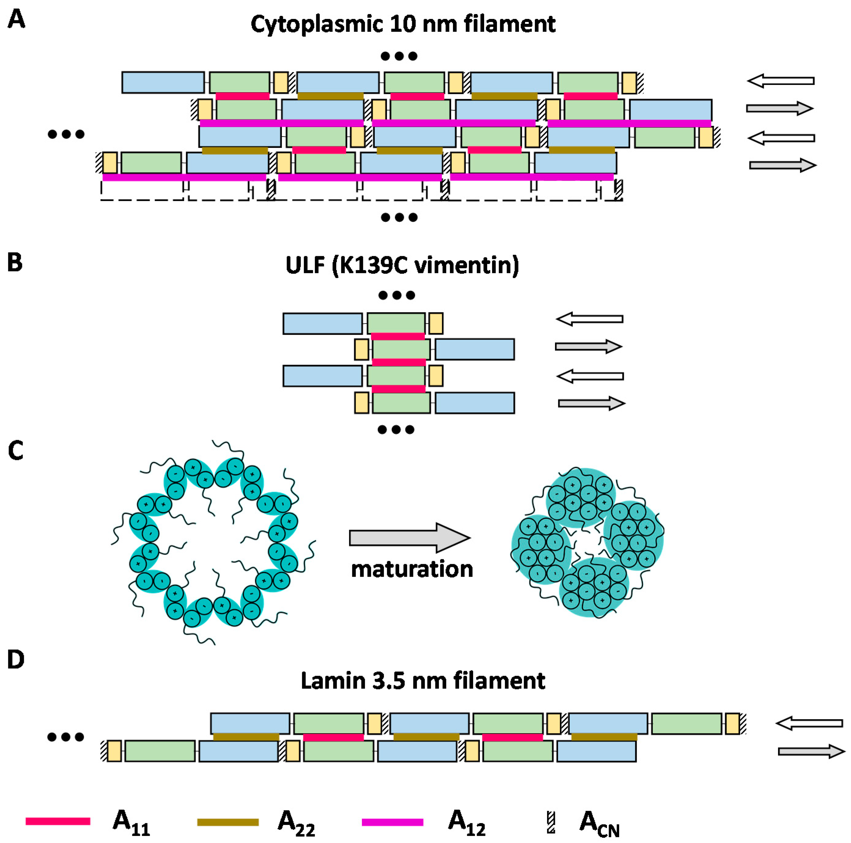 Cells 10 02457 g003 Cells 10 02457 g003