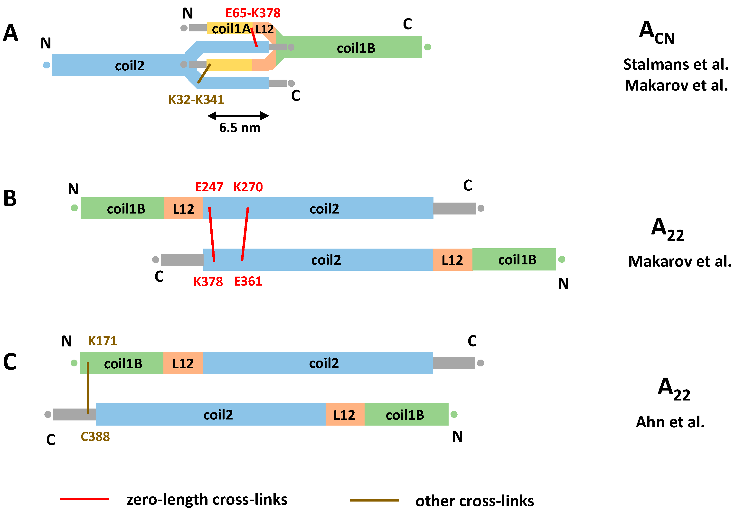 Cells 10 02457 g004 Cells 10 02457 g004