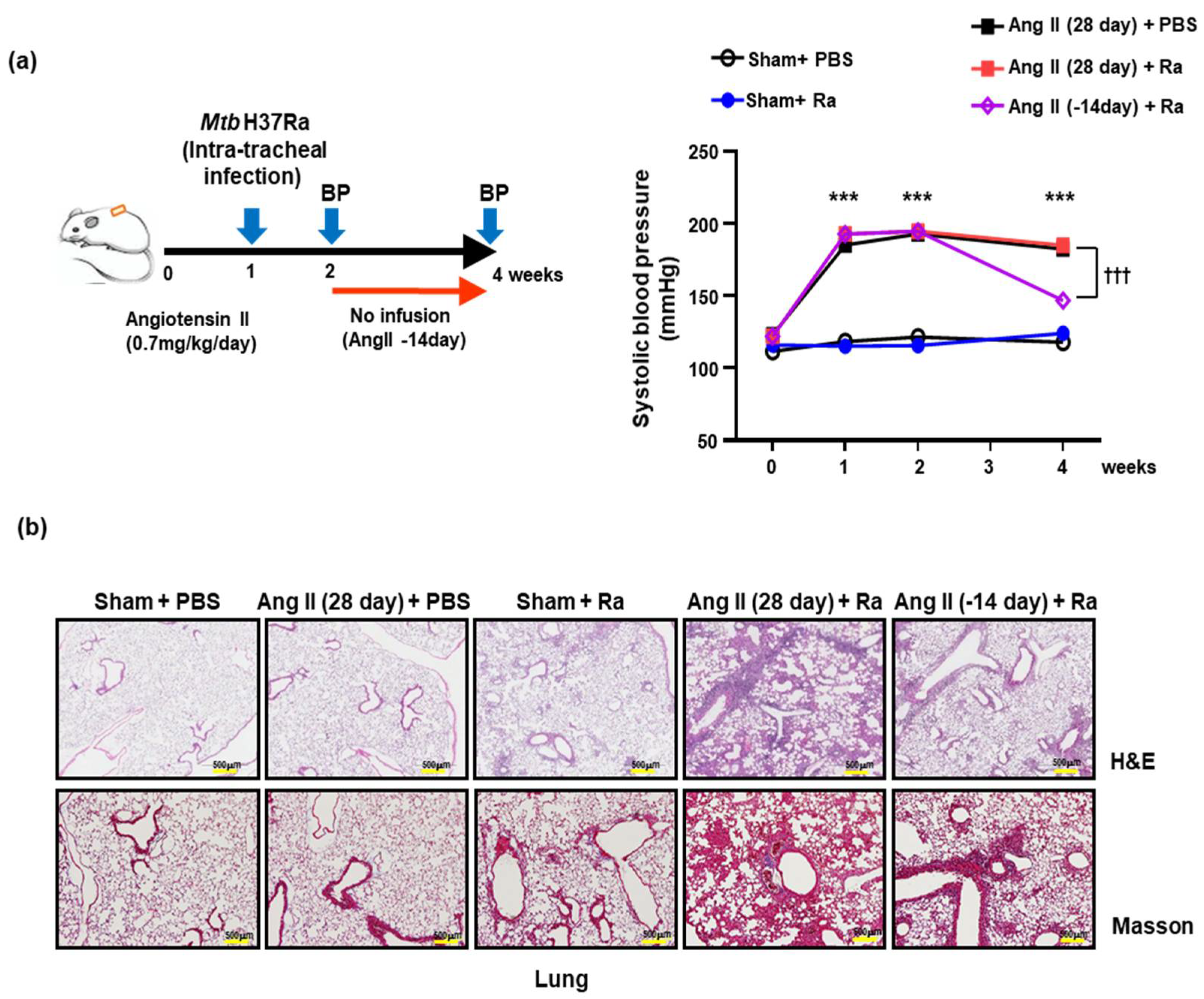 Cells 10 02478 g001