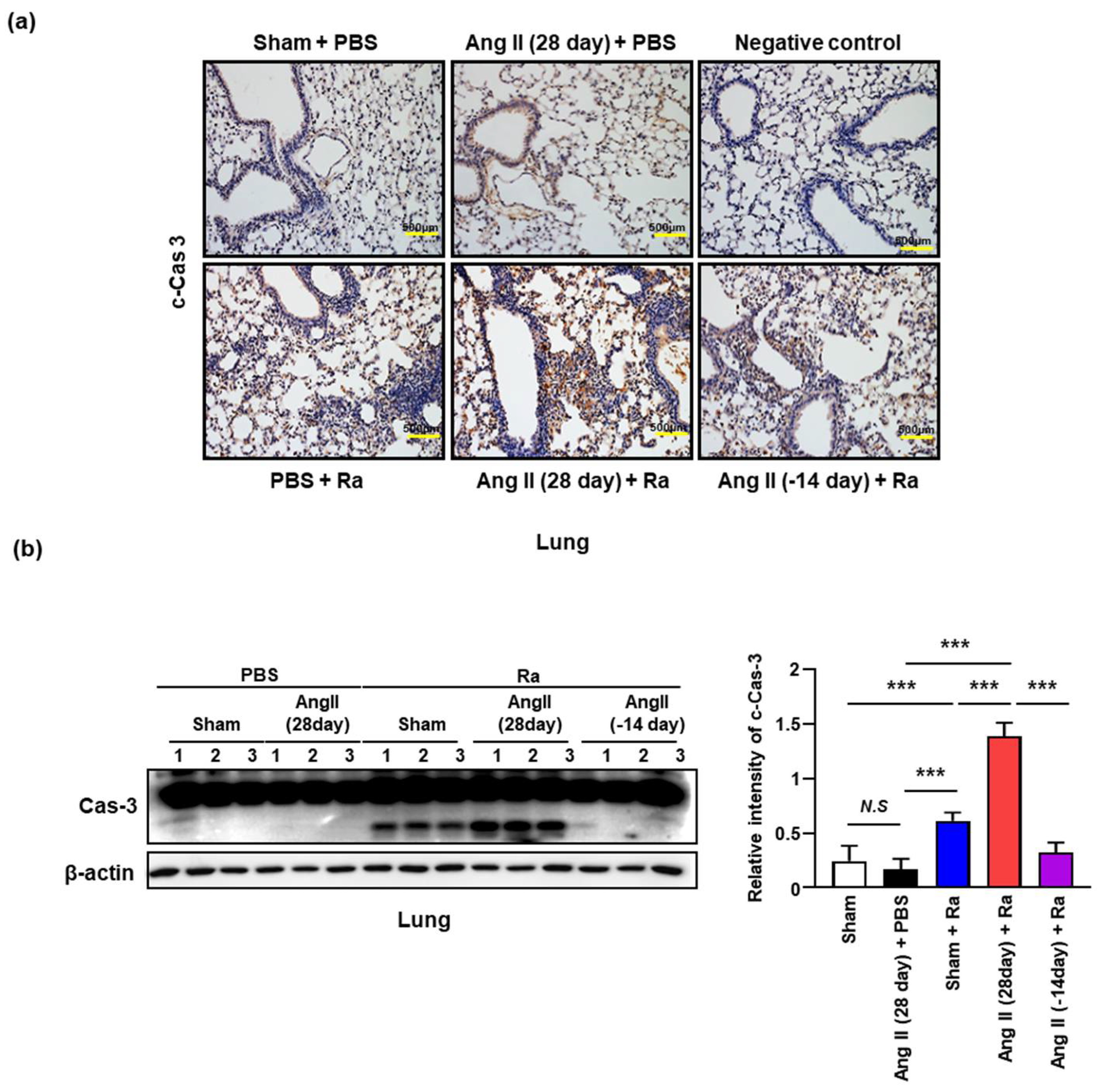 Cells 10 02478 g002