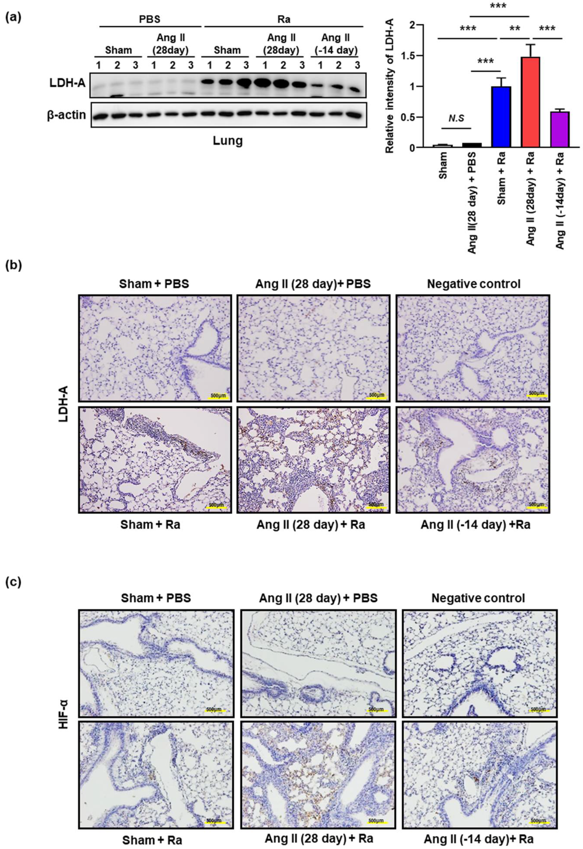 Cells 10 02478 g003