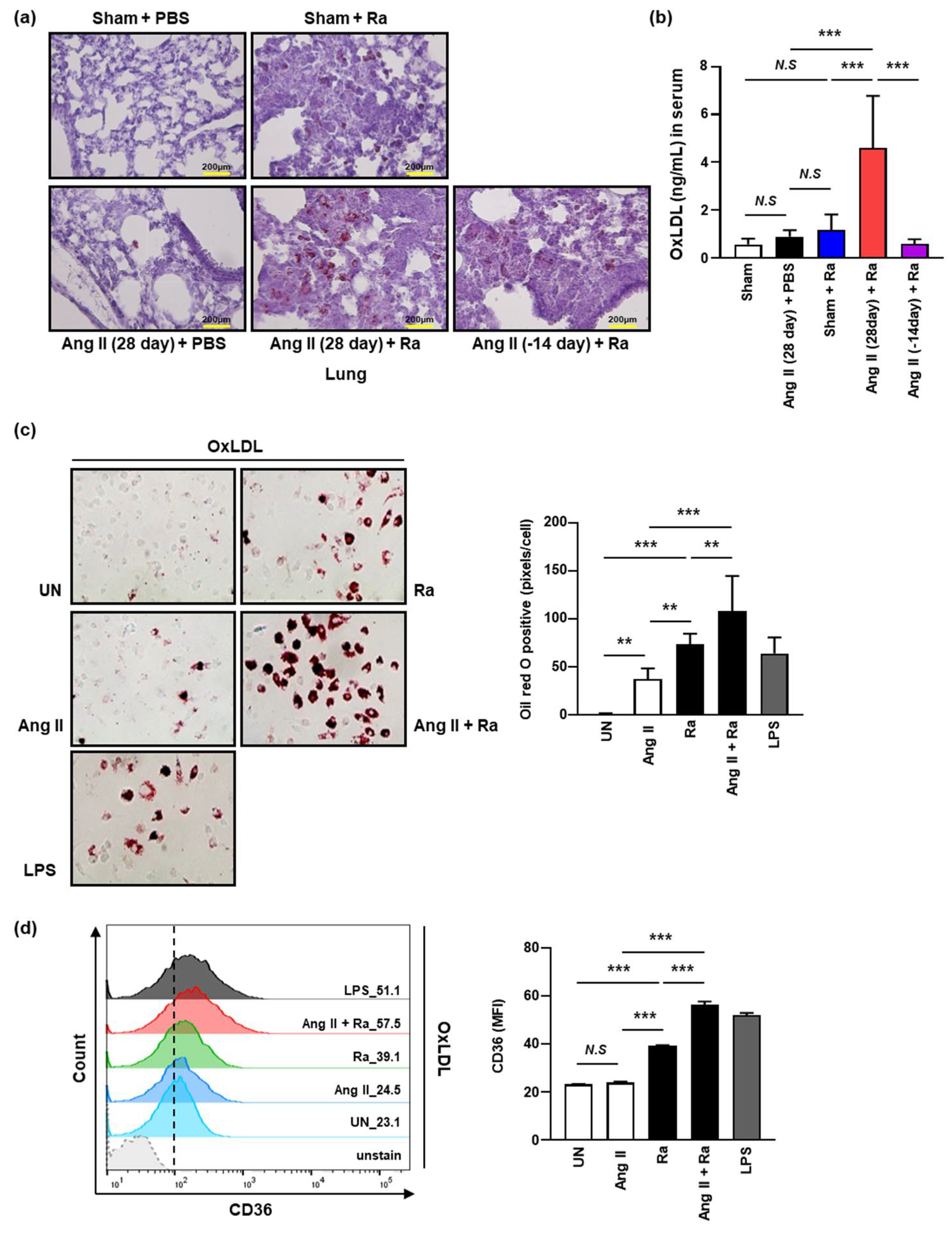 Cells 10 02478 g004