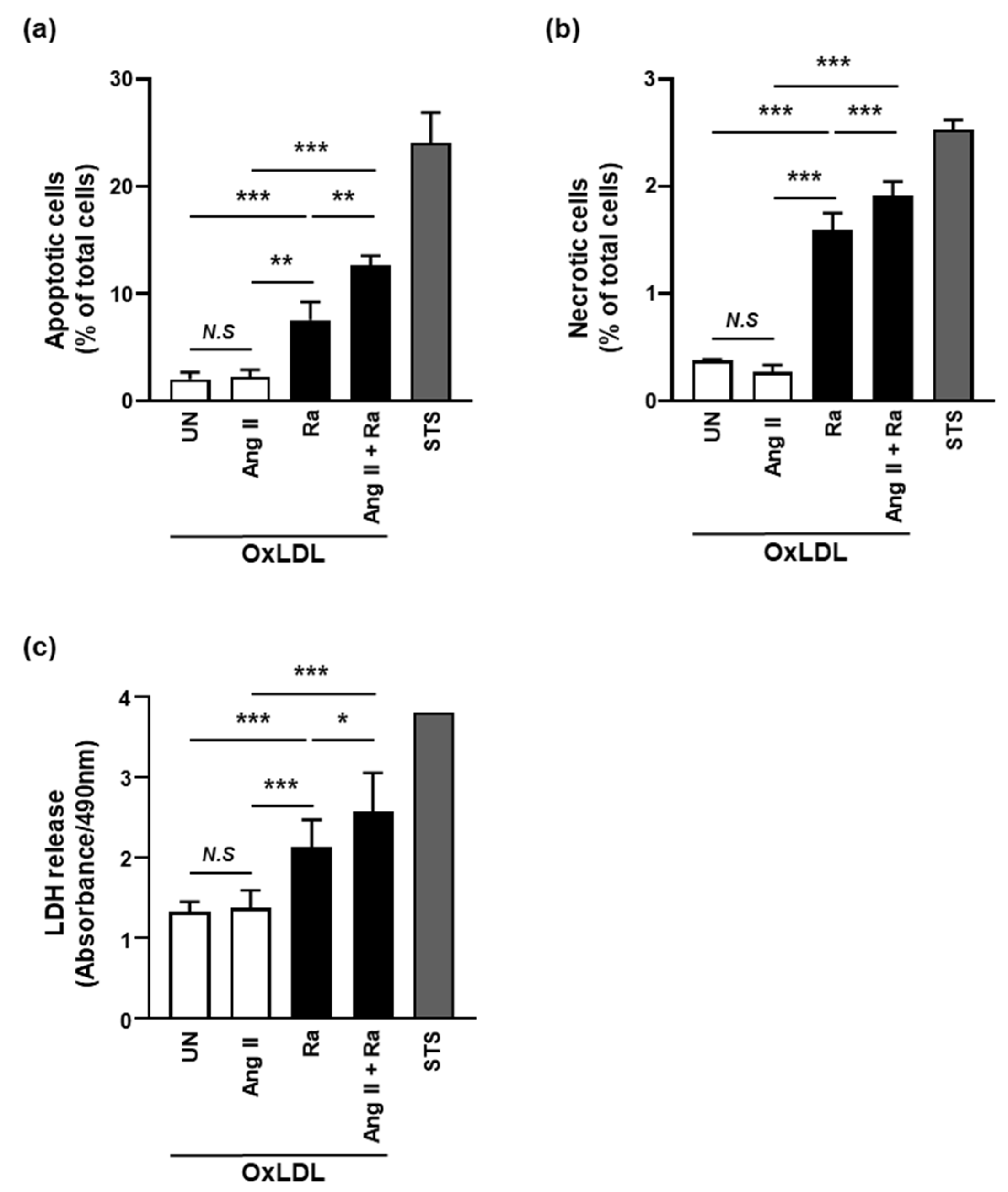 Cells 10 02478 g005