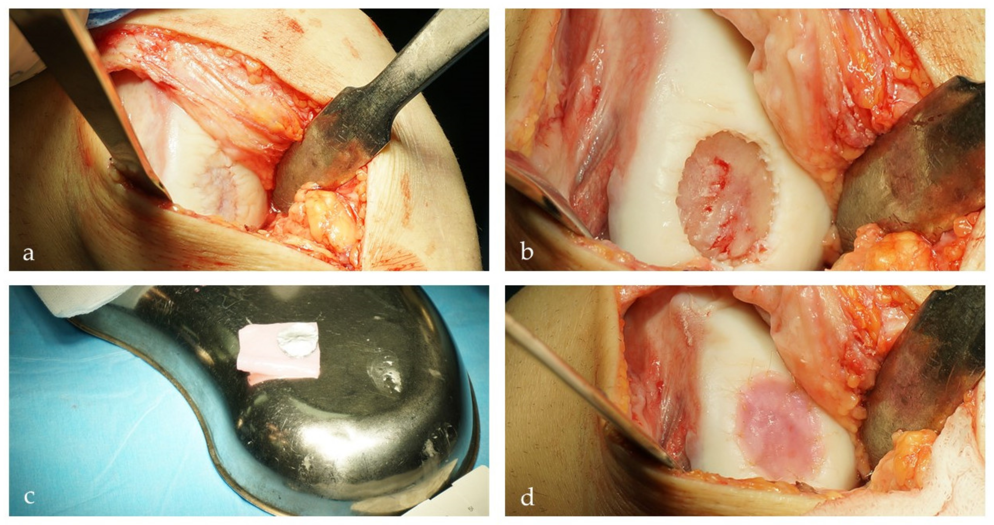 Cells 10 02496 g004 Cells 10 02496 g004