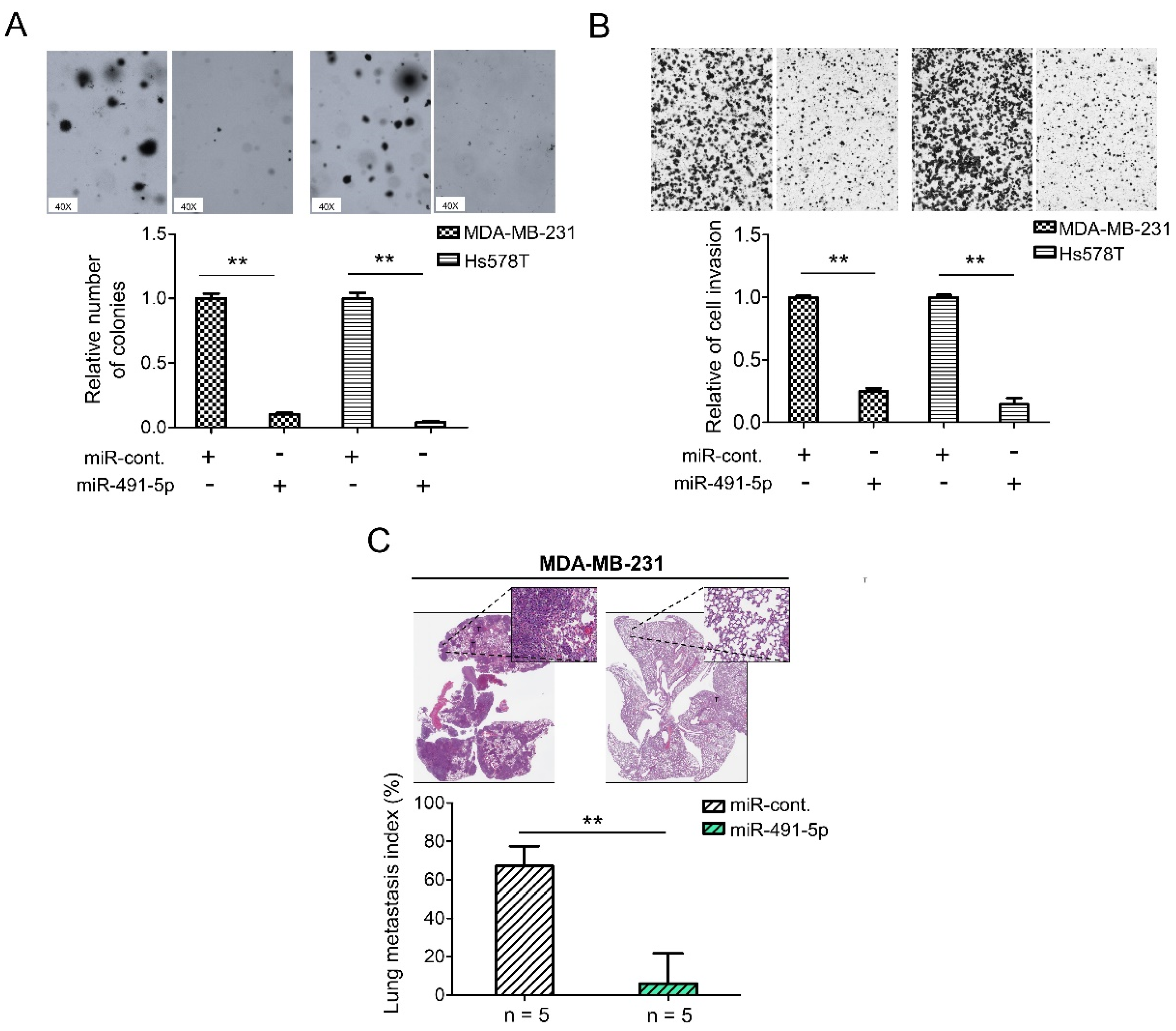 Cells 10 02524 g002
