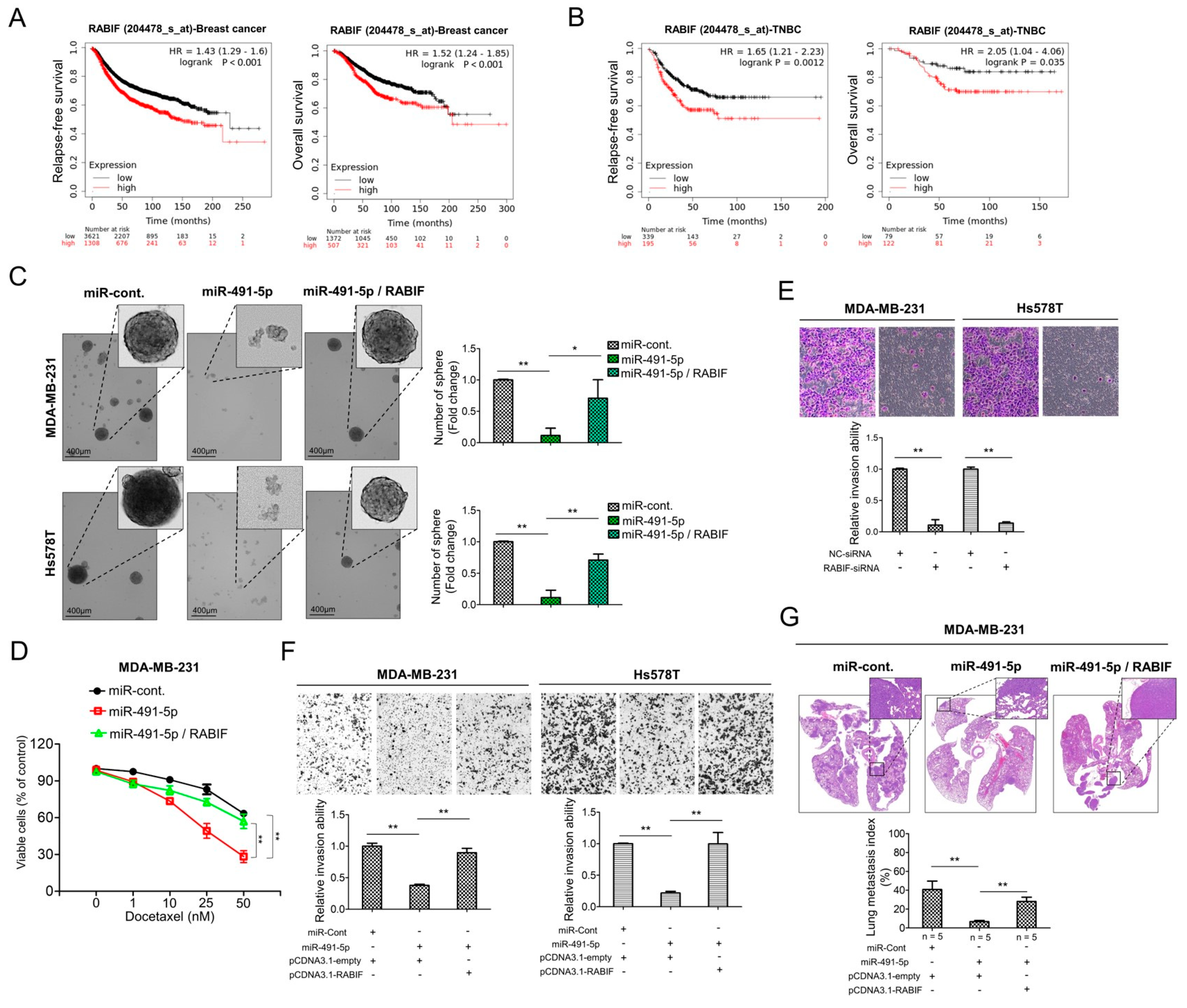 Cells 10 02524 g005