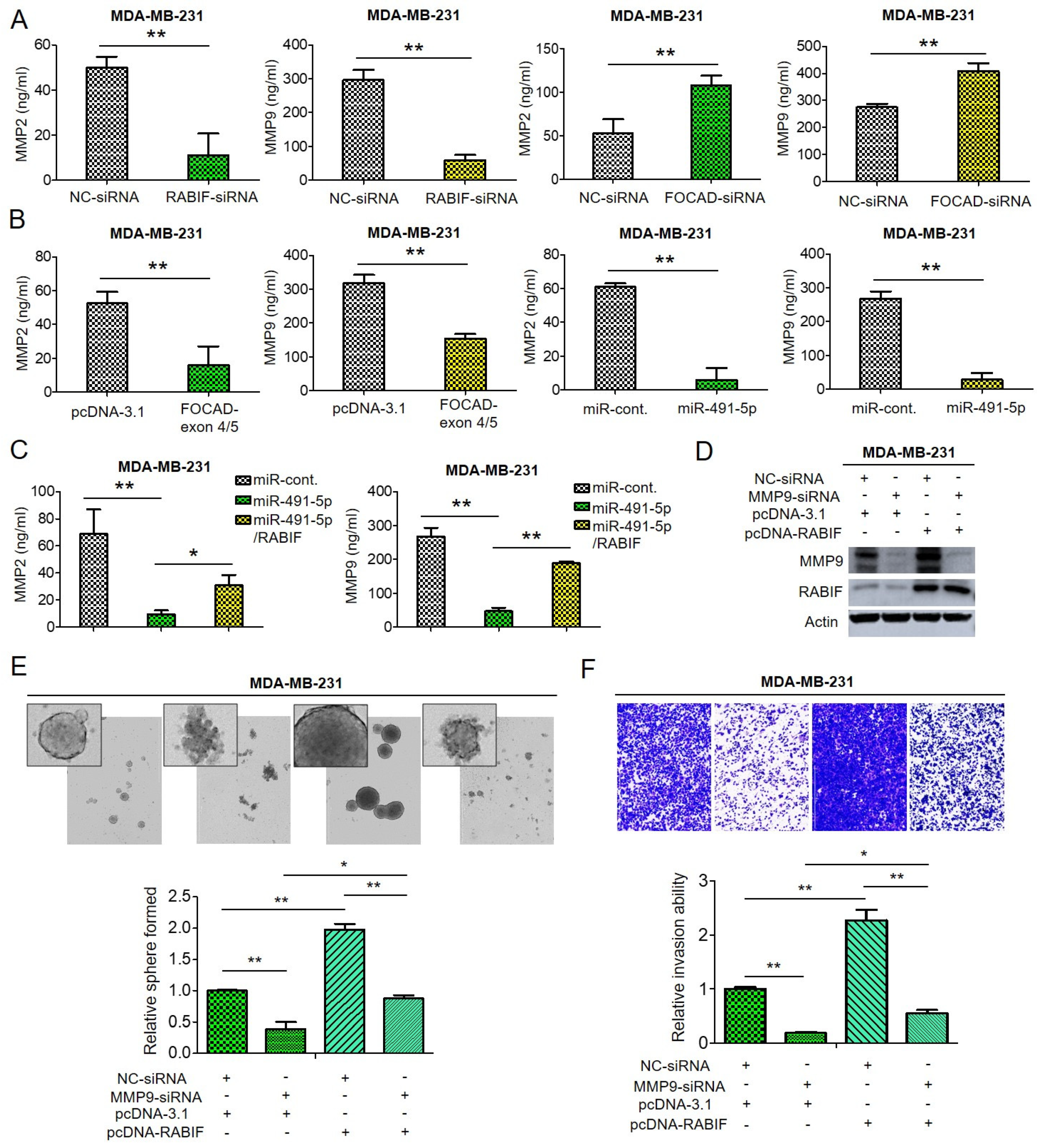 Cells 10 02524 g006