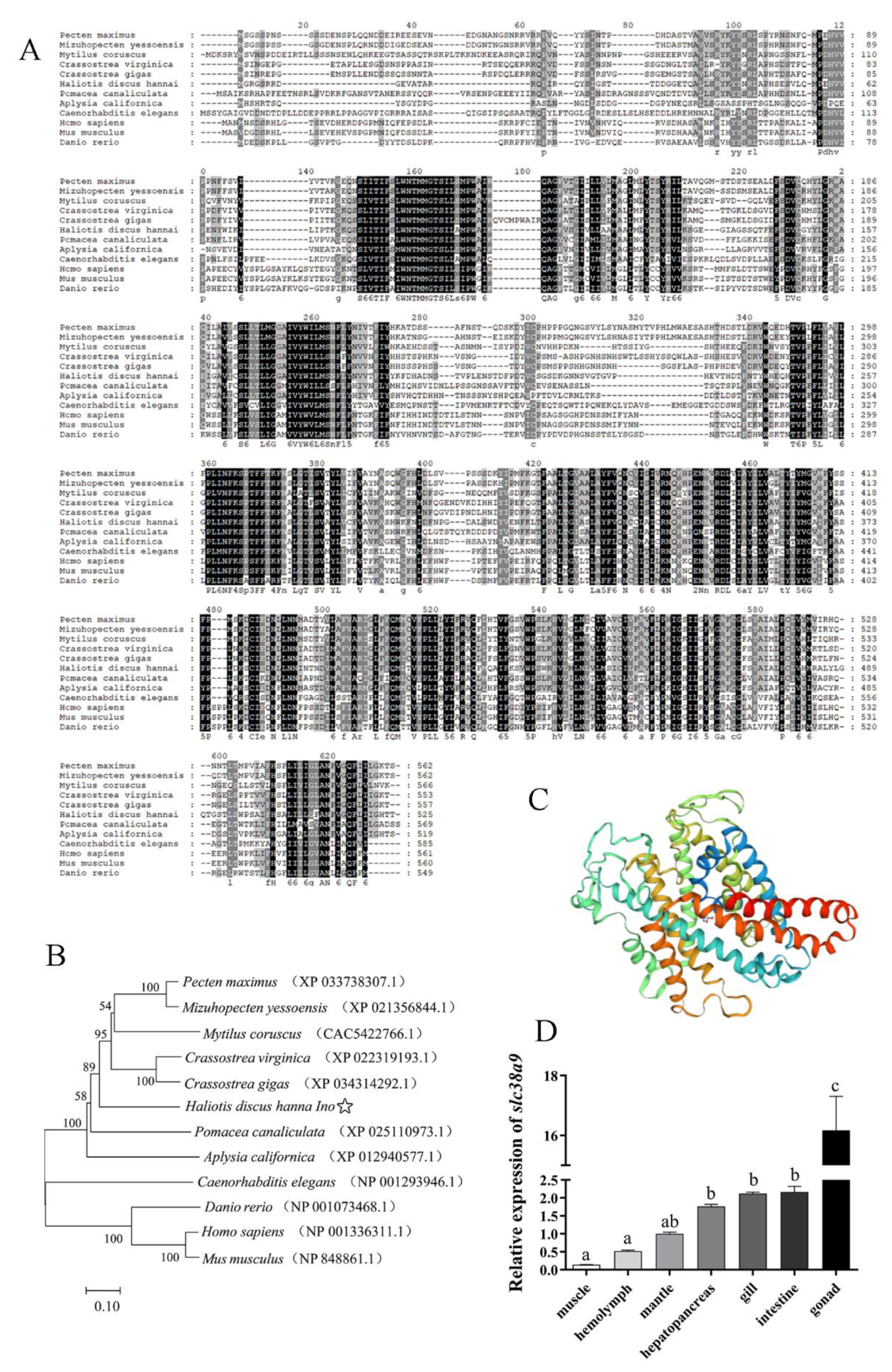 Cells 10 02552 g002 Cells 10 02552 g002