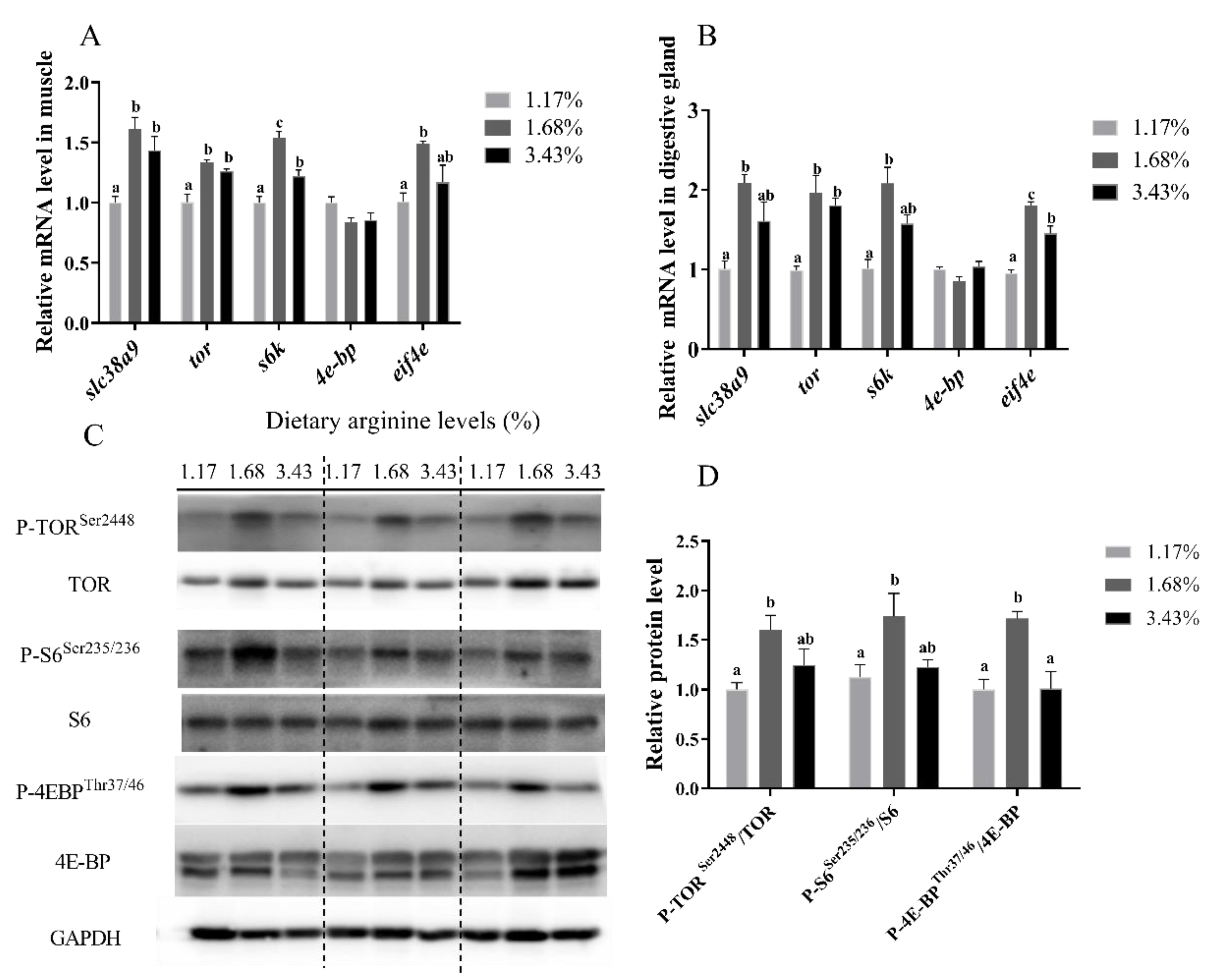 Cells 10 02552 g008 Cells 10 02552 g008